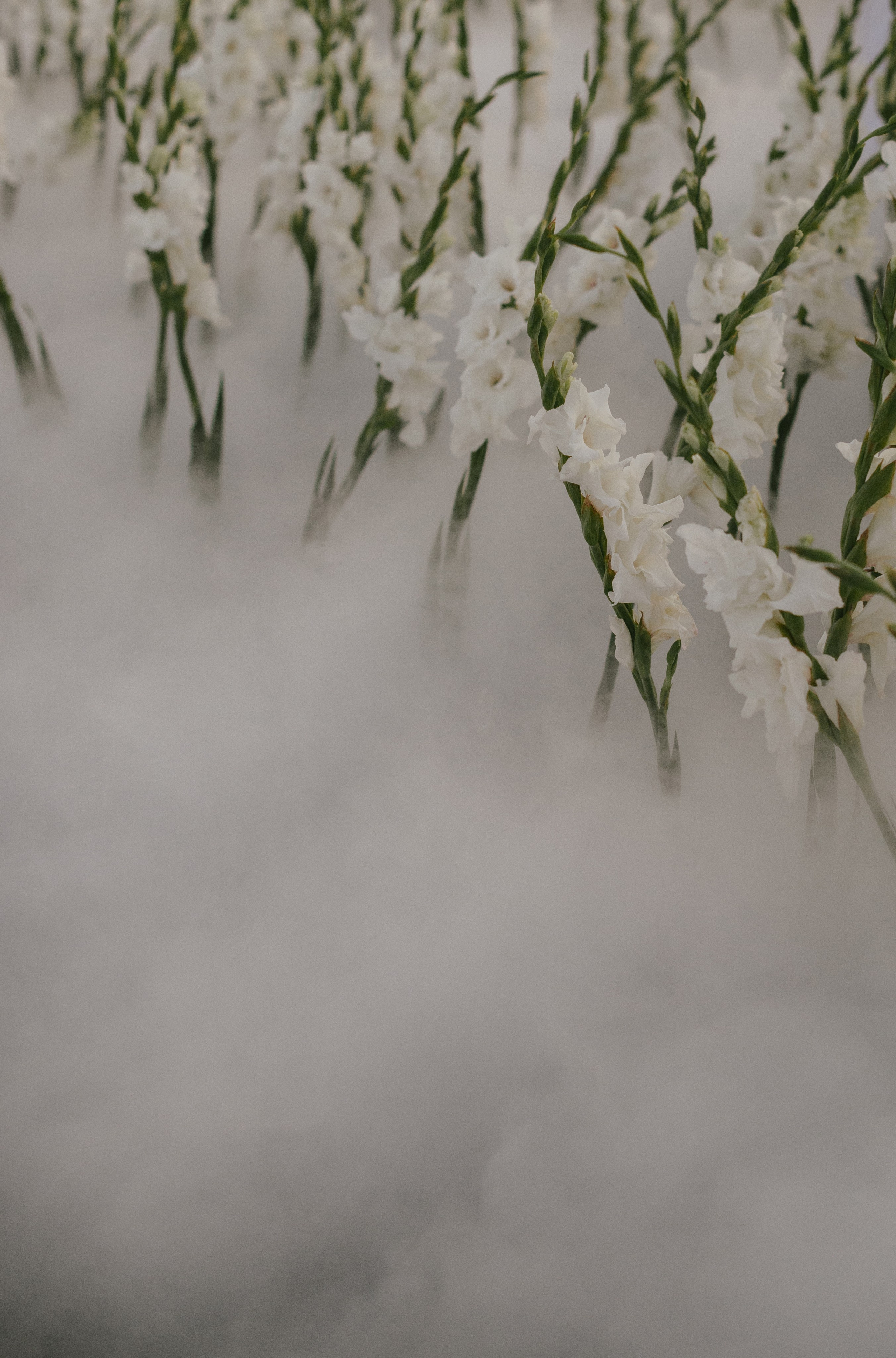 Владислав и Юлия (Вечеринка по случаю венчания). Свадебный, женский, семейный фотограф в Севастополе Юлия Мошенко