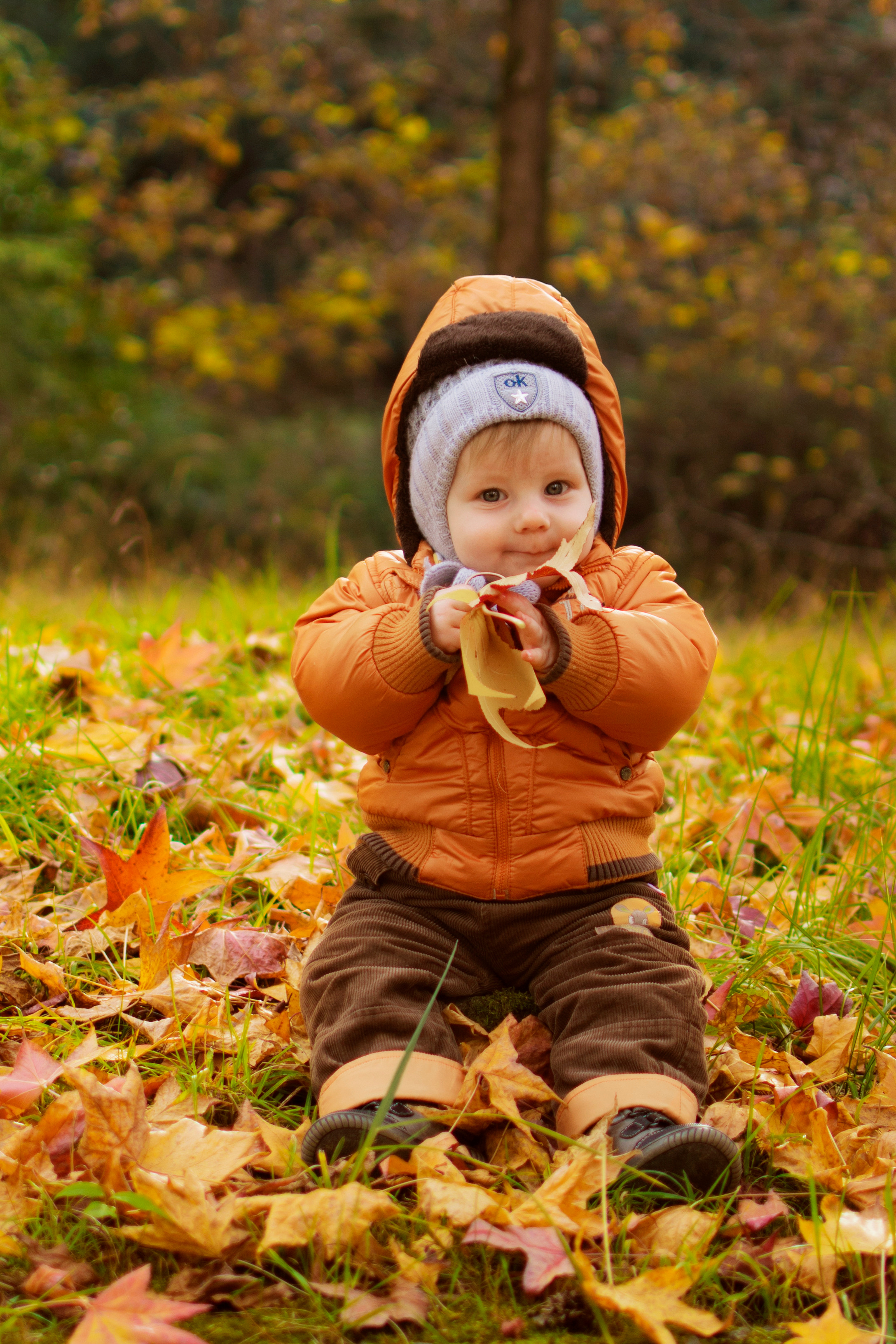 Осенняя фотосессия в листьях. Детский студийный фотограф Сочи