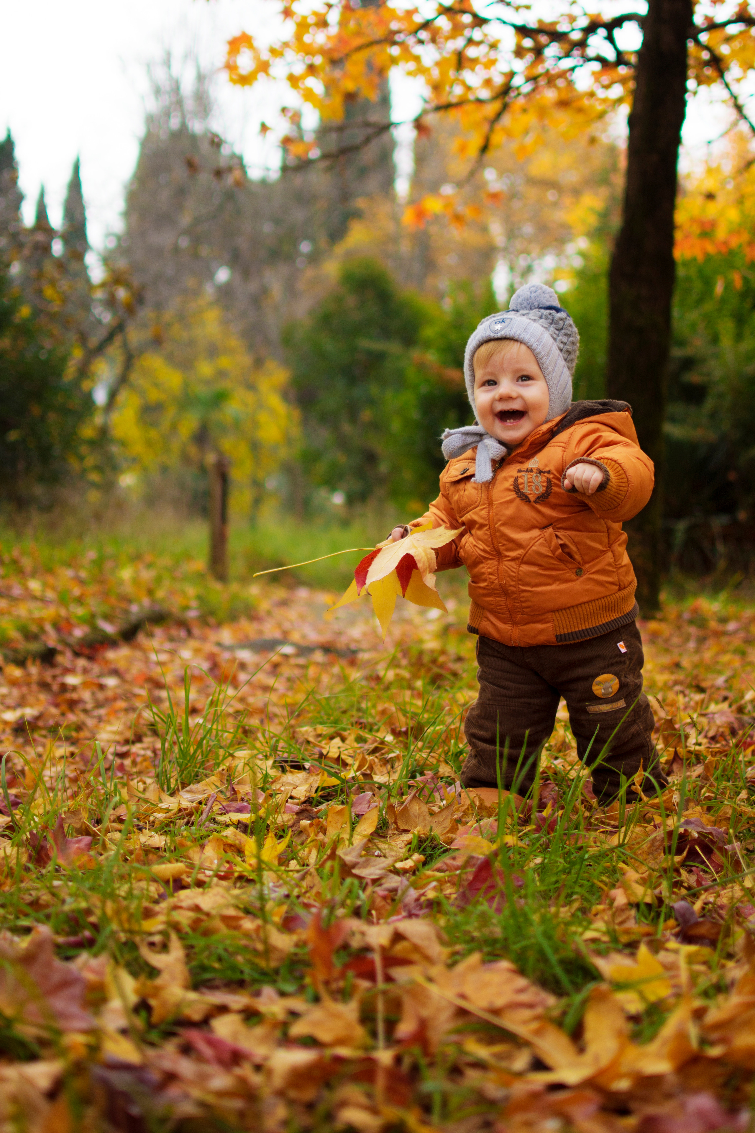 Осенняя фотосессия в листьях. Детский студийный фотограф Сочи