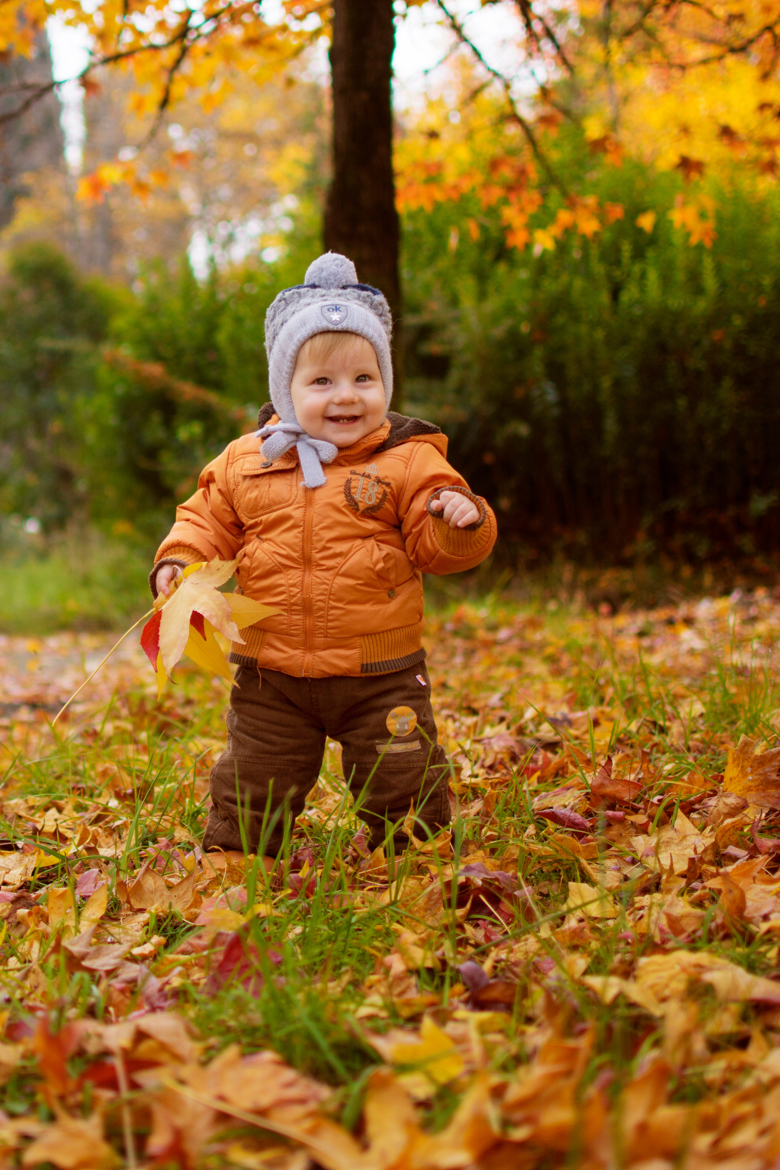 Осенняя фотосессия в листьях. Детский студийный фотограф Сочи
