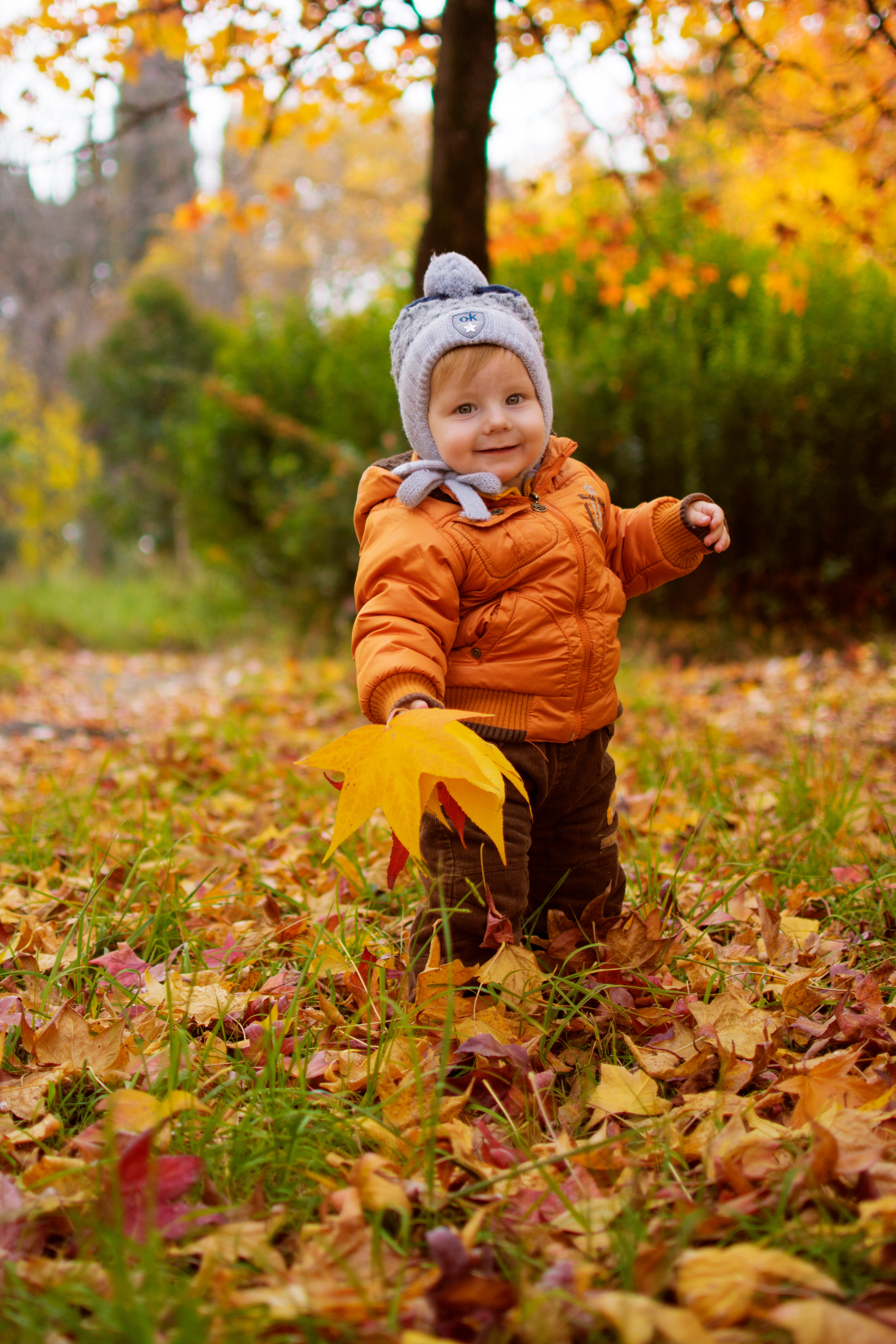Осенняя фотосессия в листьях. Детский студийный фотограф Сочи