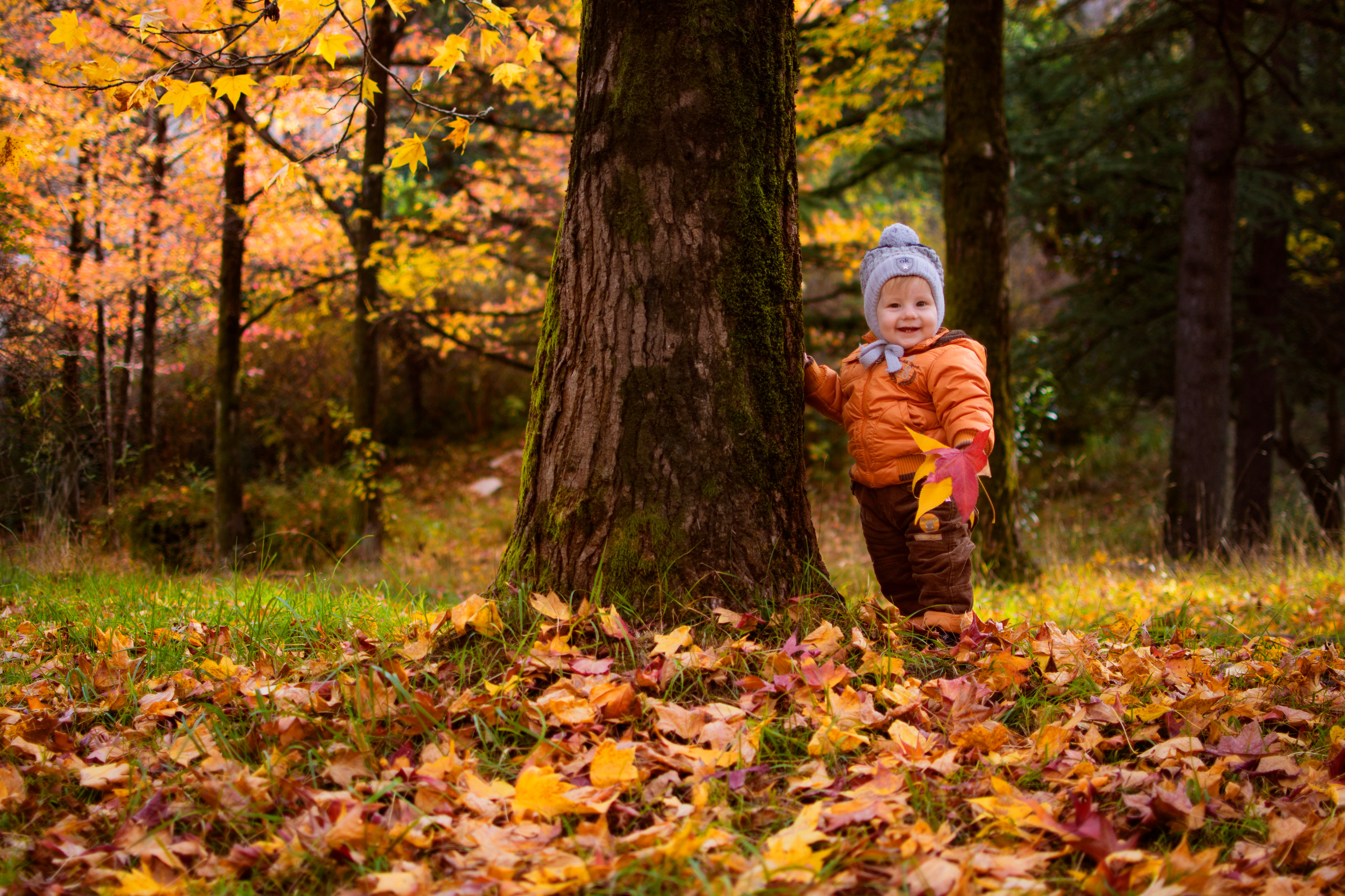 Осенняя фотосессия в листьях. Детский студийный фотограф Сочи