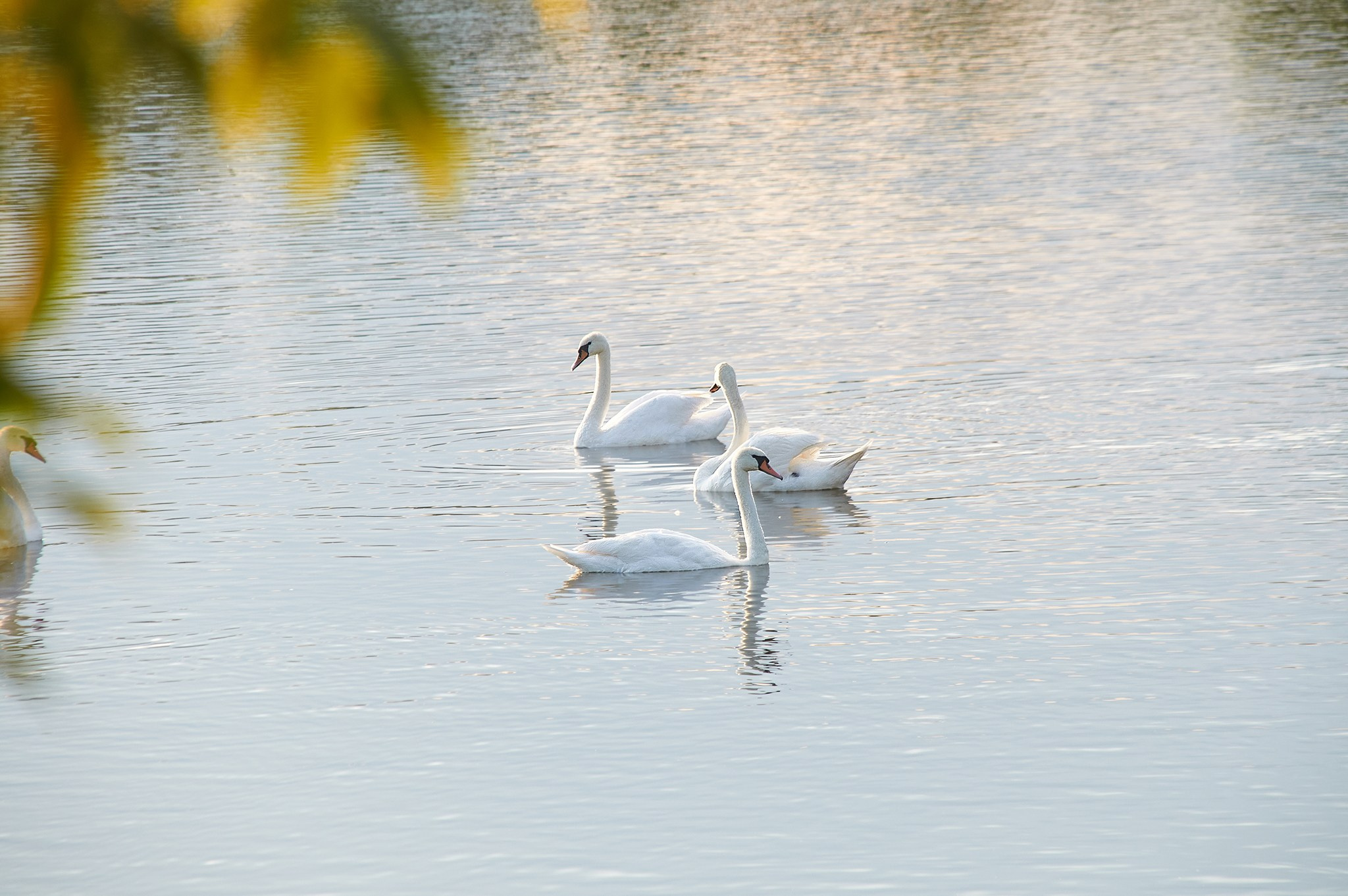 Заповедные уголки Земли: обитатели дикой природы. Координаты красоты — география в фокусе