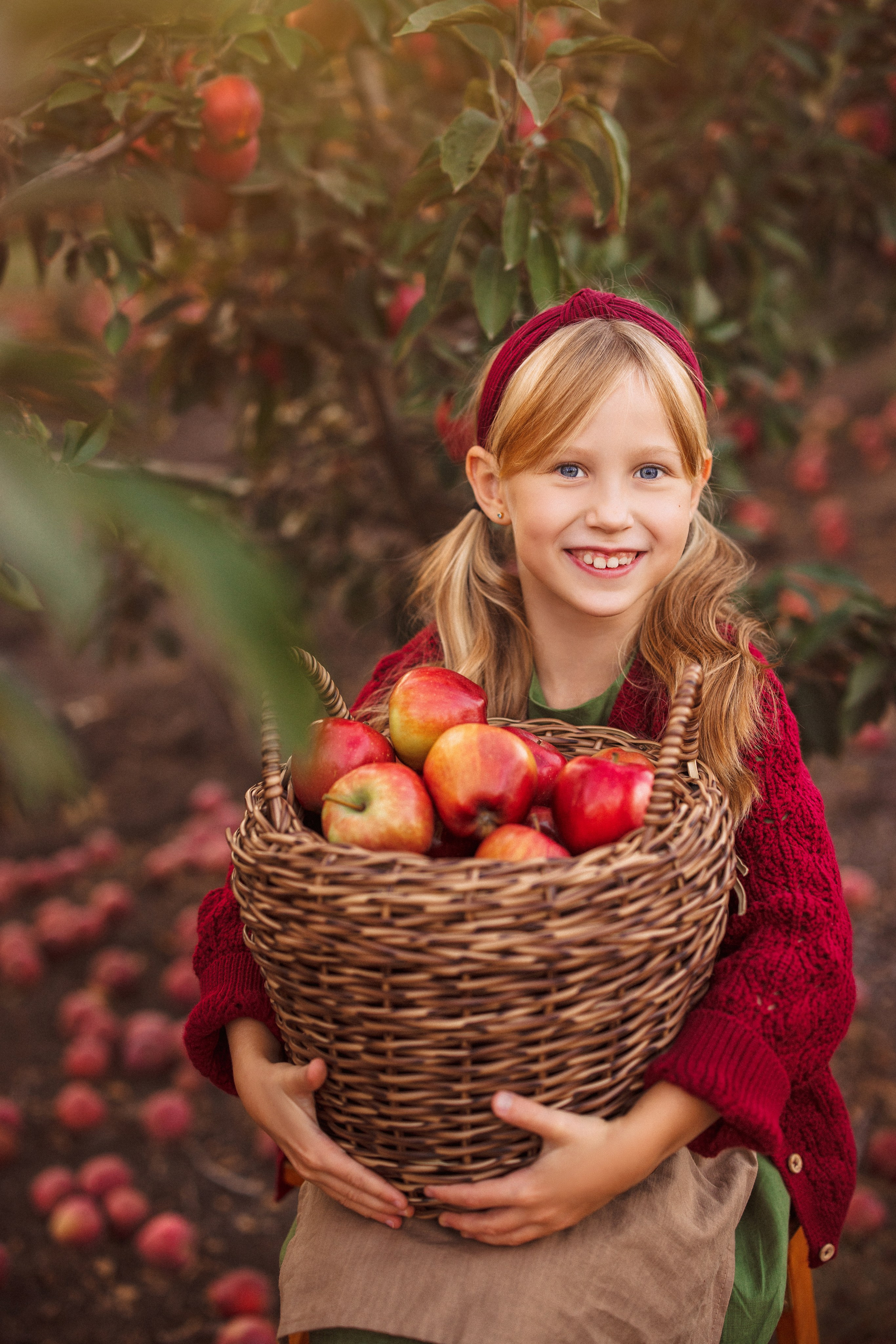 Сбор урожая Яблок. Семейный и детский фотограф в Краснодаре Анна Трашкова