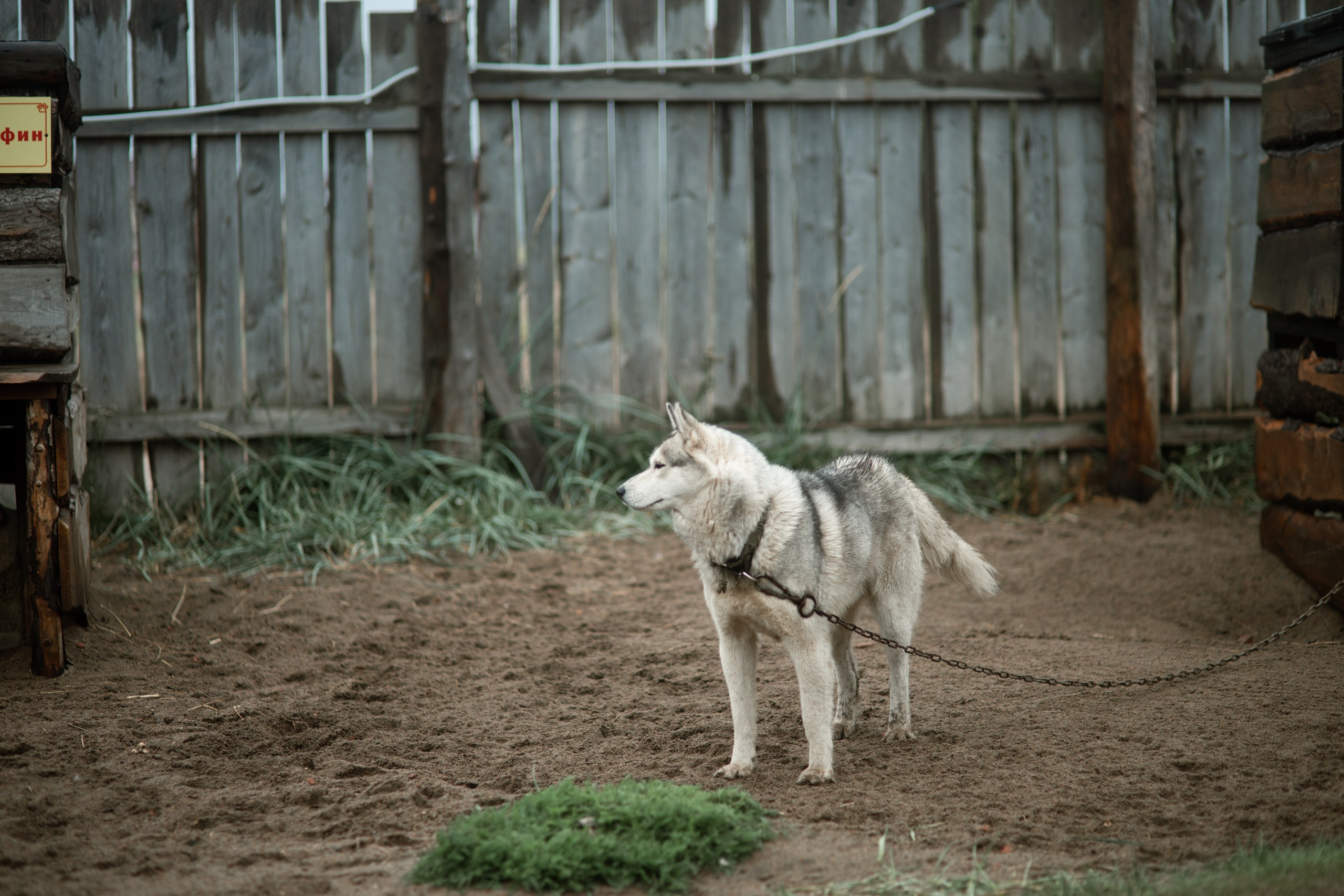 Мурманск. Фотограф Сергей Красильников