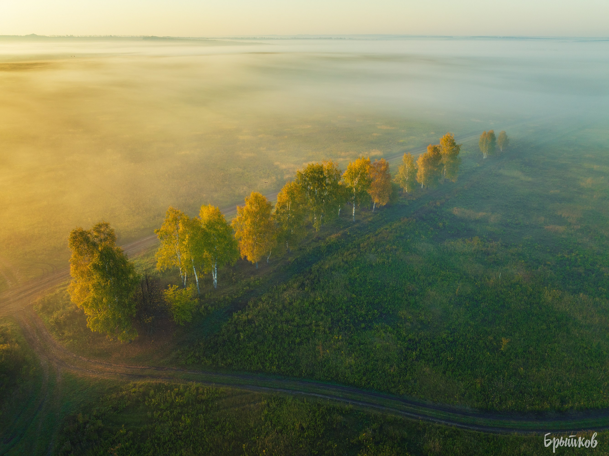 Бежин луг туман Брытков Николай