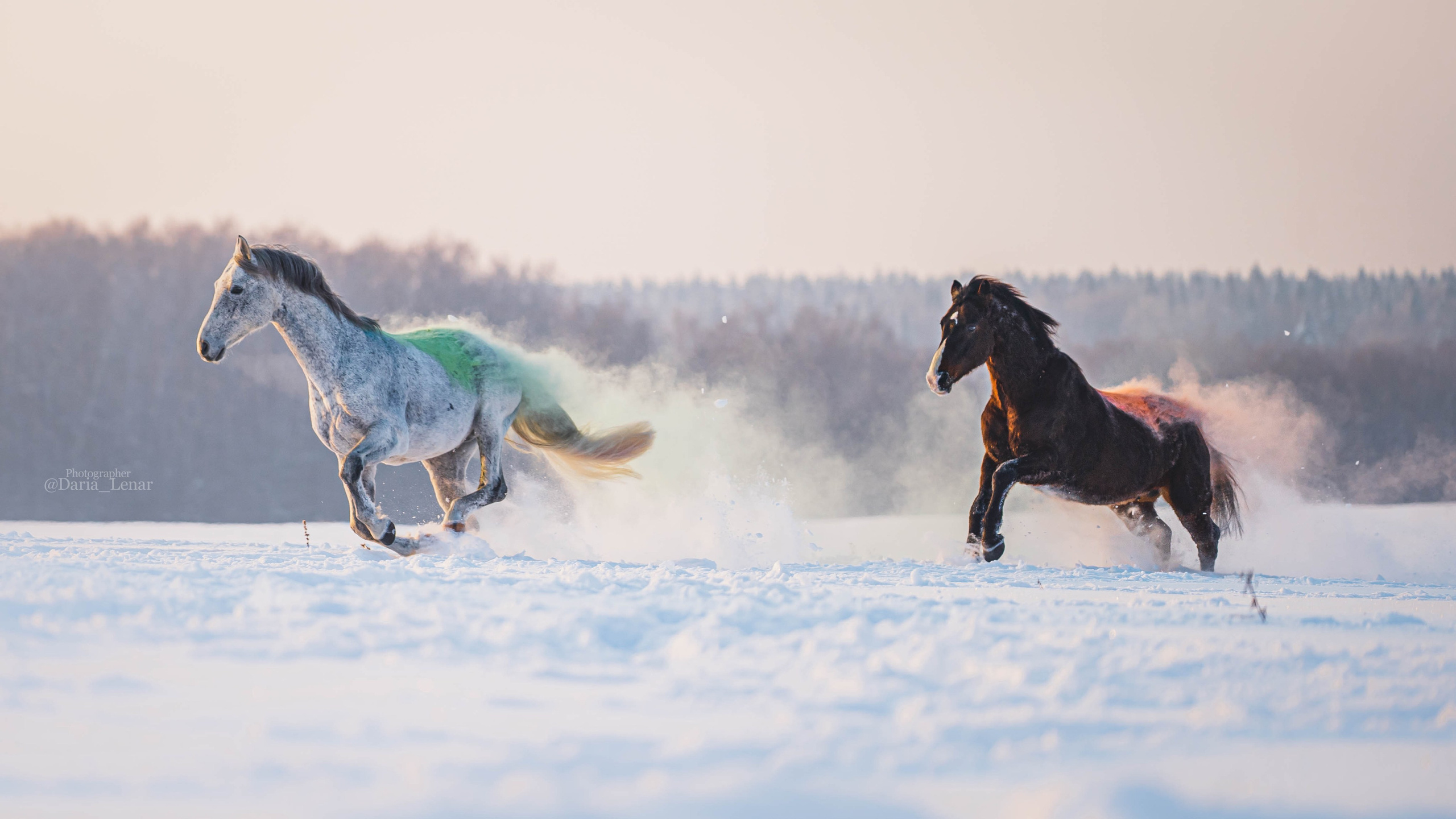Людмила, Калидор, Михаил. Фотограф в Москве Ленарская Дарья