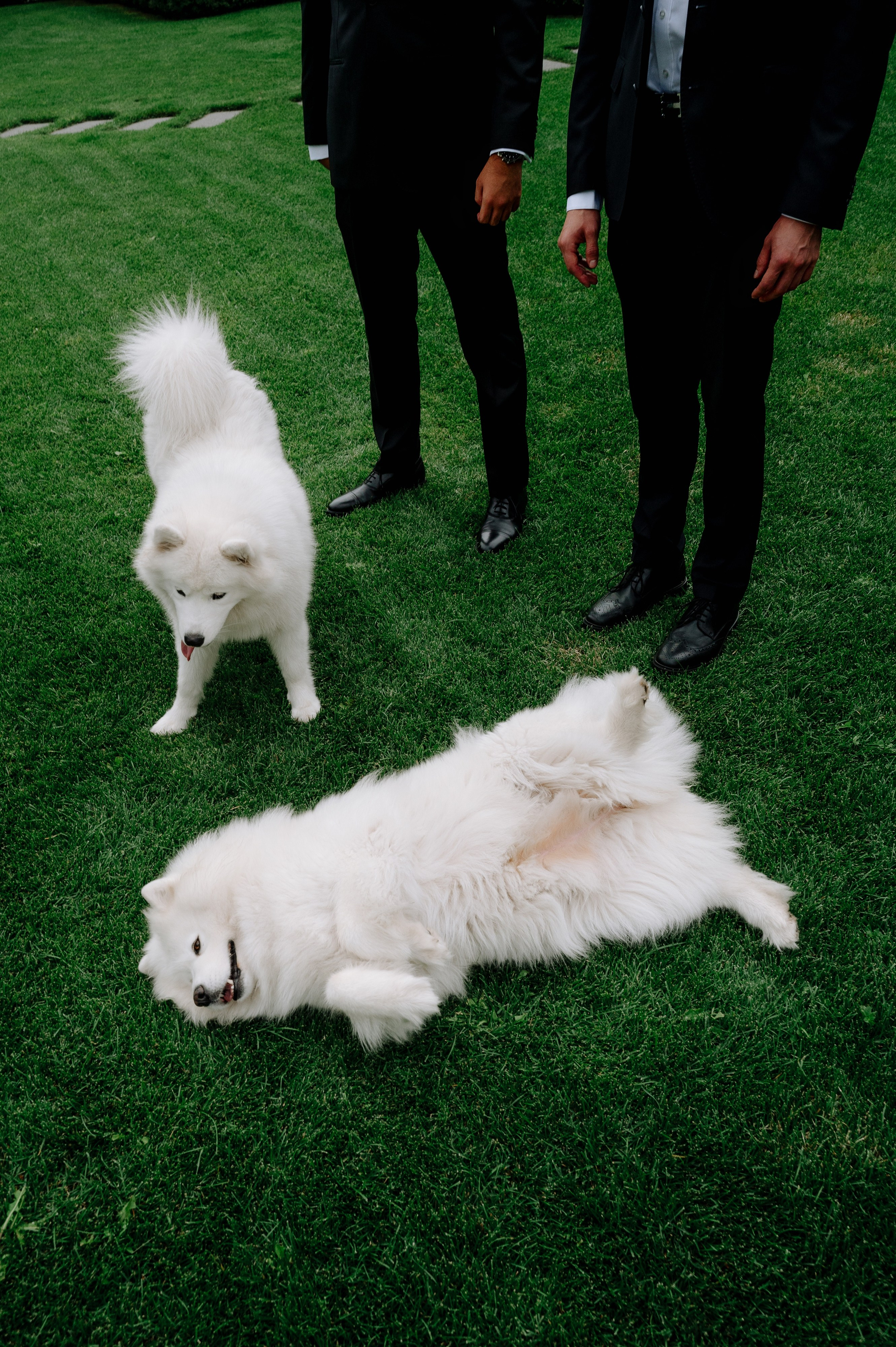 (Сэм+Валя)+155 гостей = ❤️ | 2024. Фотограф Вито Бурмасов | Москва