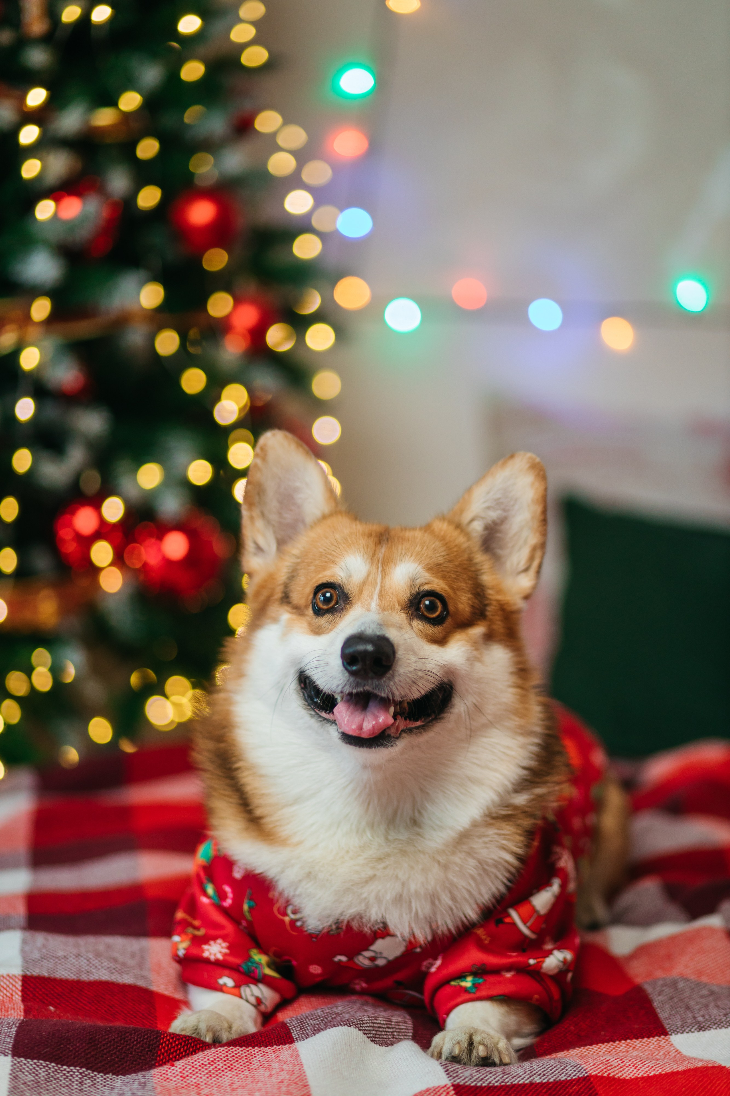 Марина и Ричи. Фотограф в Сочи. Свадебная видеосъемка Сочи