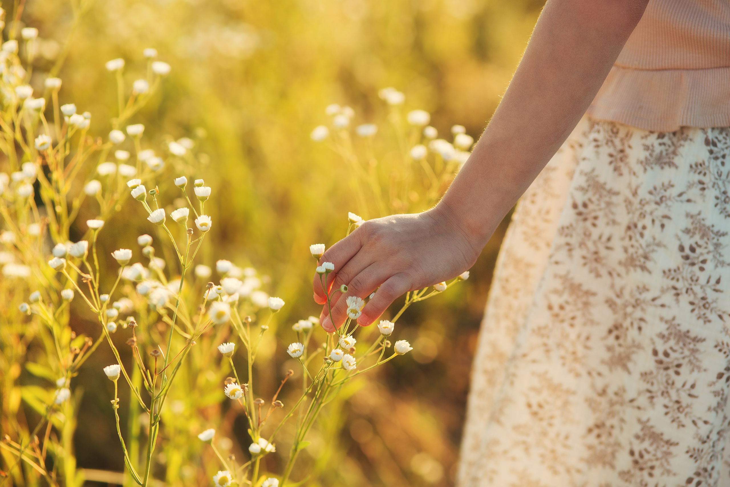 Фотосессия в ромашках. Галина Шарапова Детский и семейный фотограф Москва