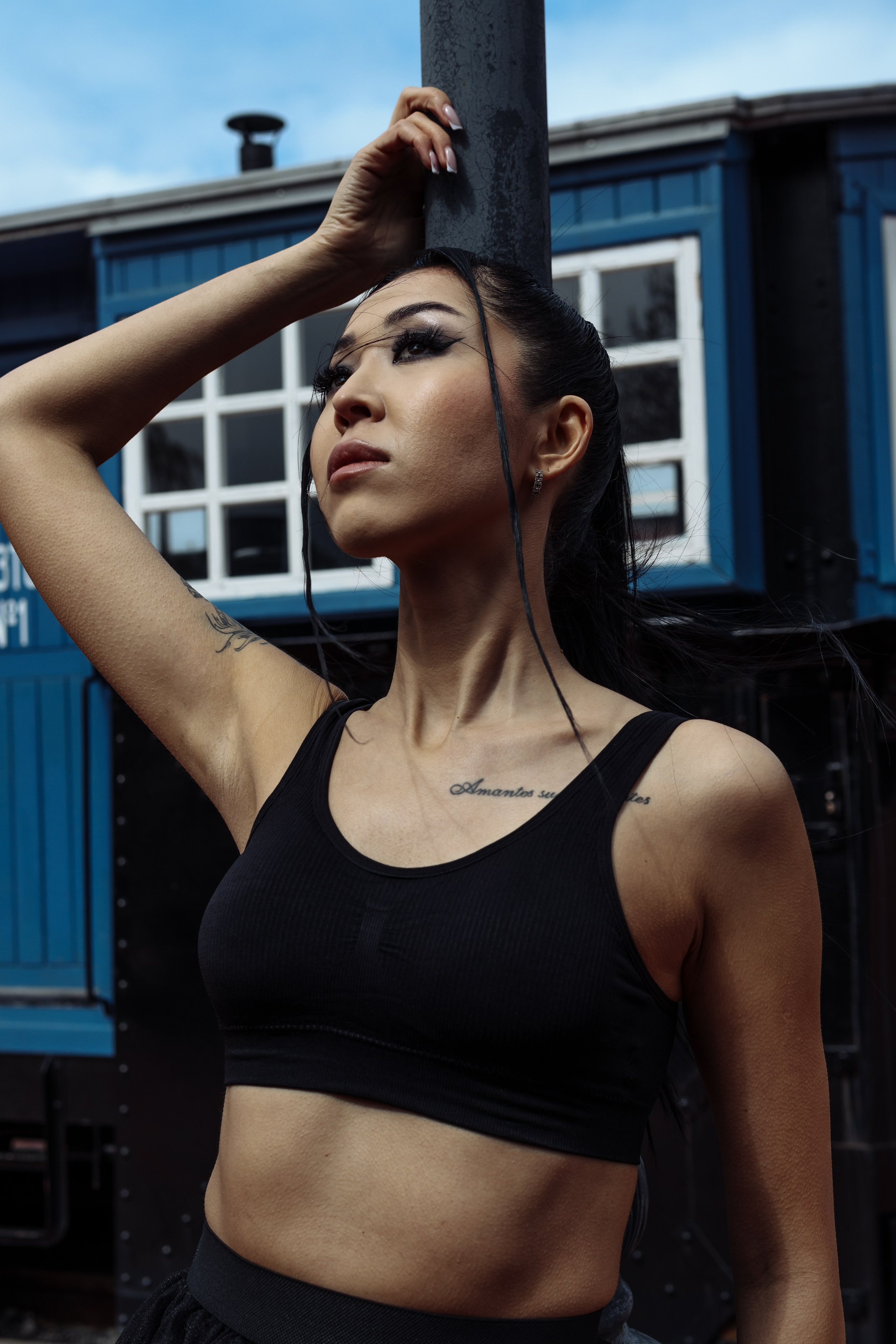 Аида. Главная