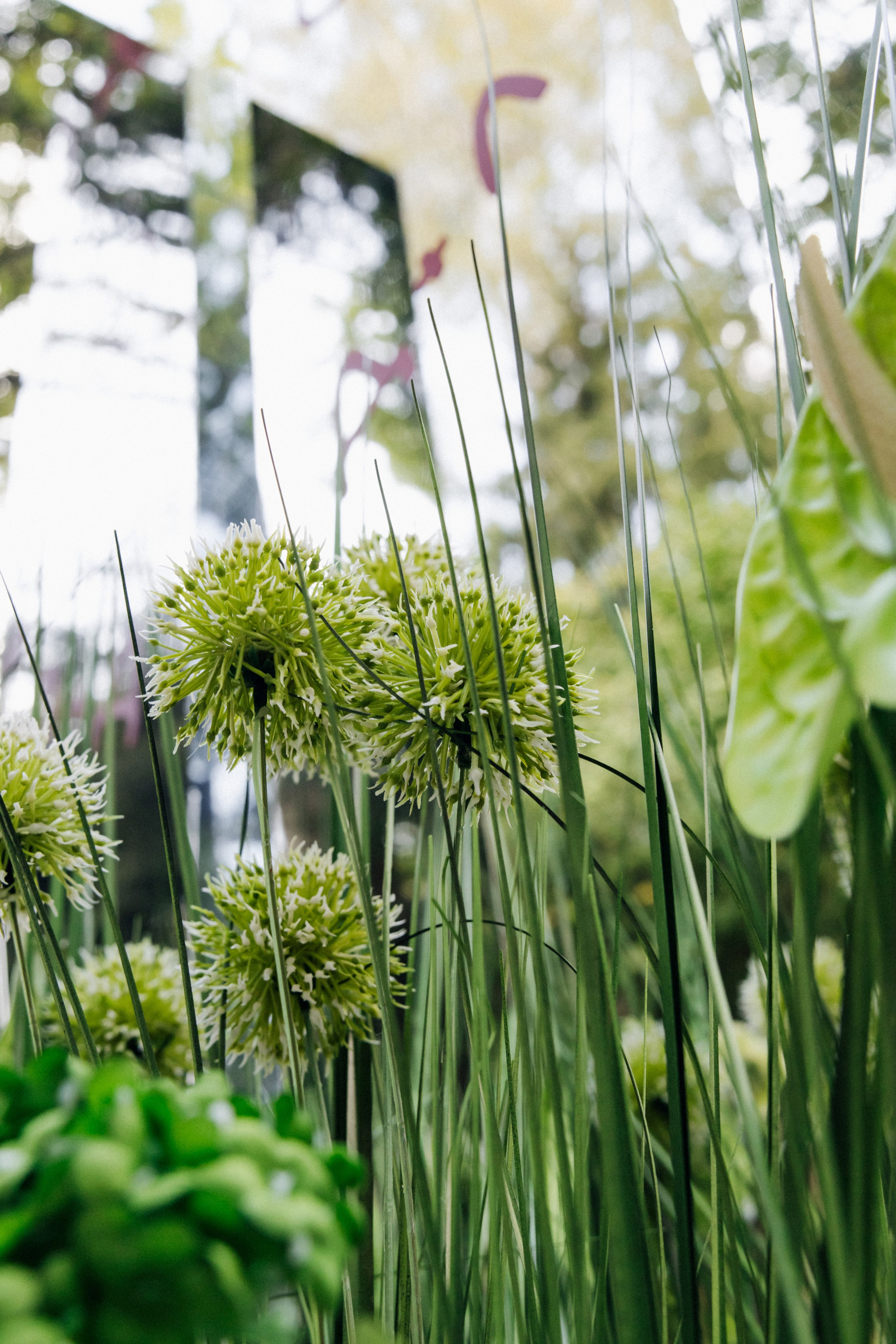 Денис и Елизавета. Фотограф в Красноярске