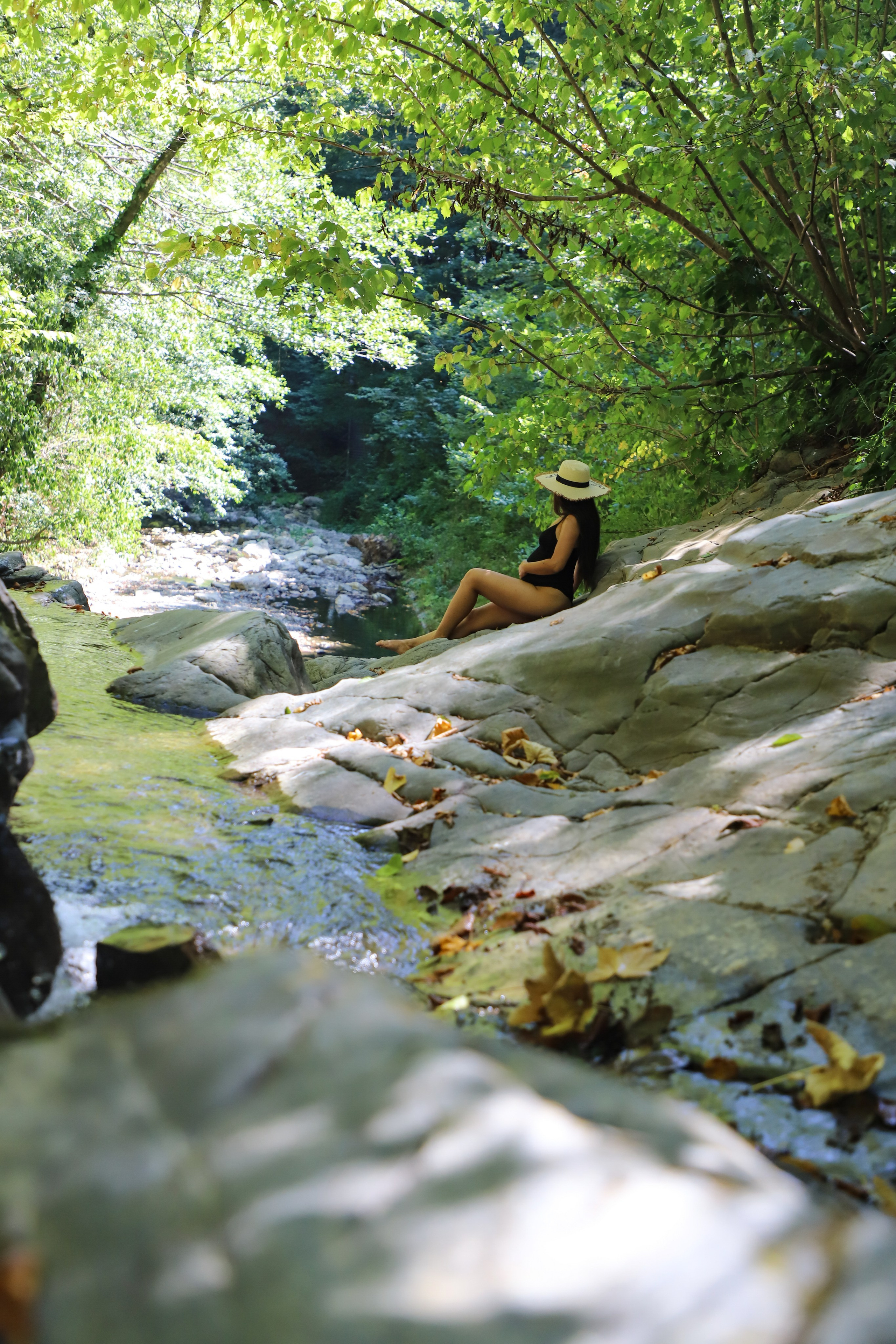 Беремняшка Мацеста чайные плантации 27.08. Главная