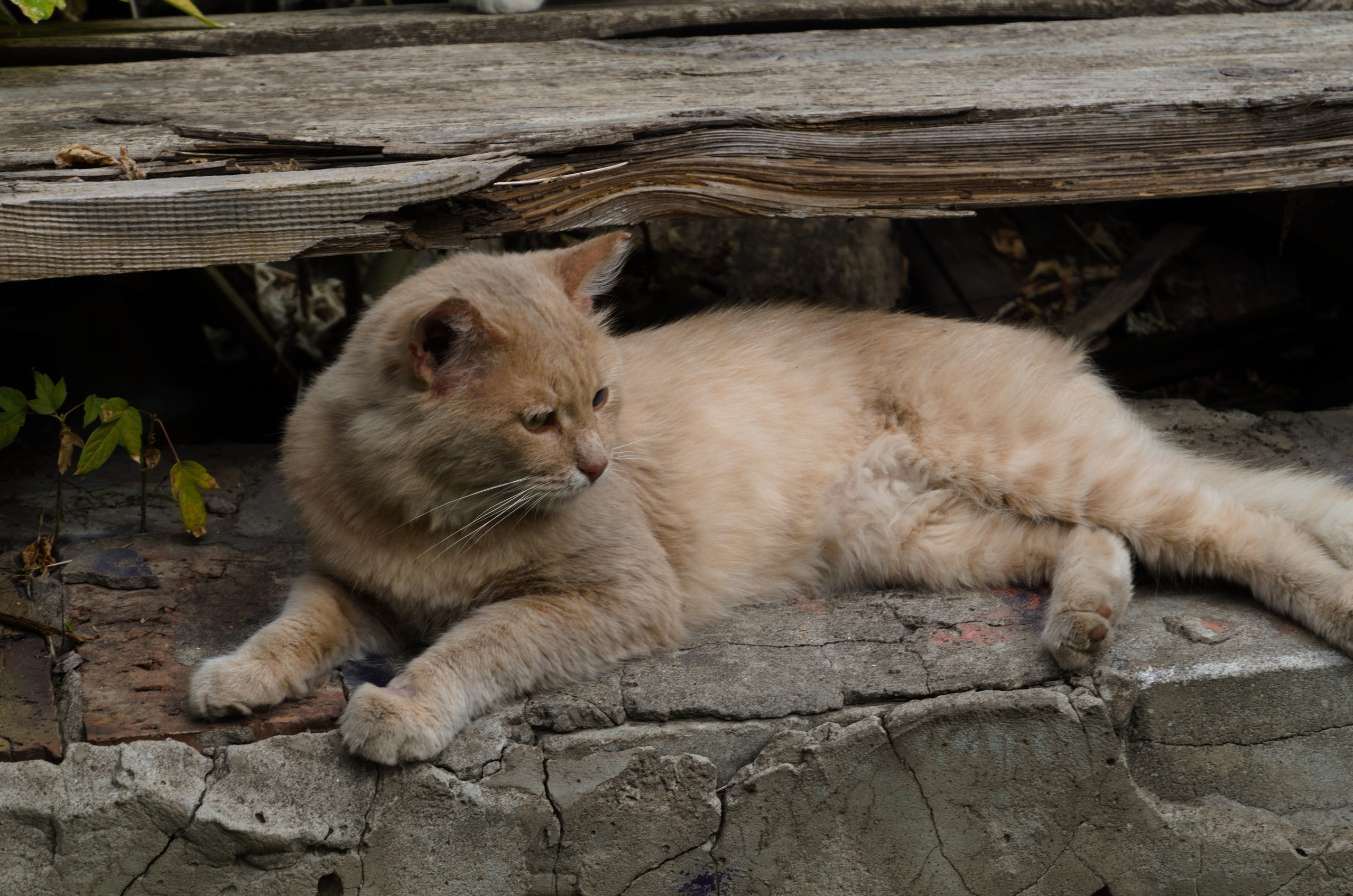 Самара | 05-06.09.2020. Галерея Фантим