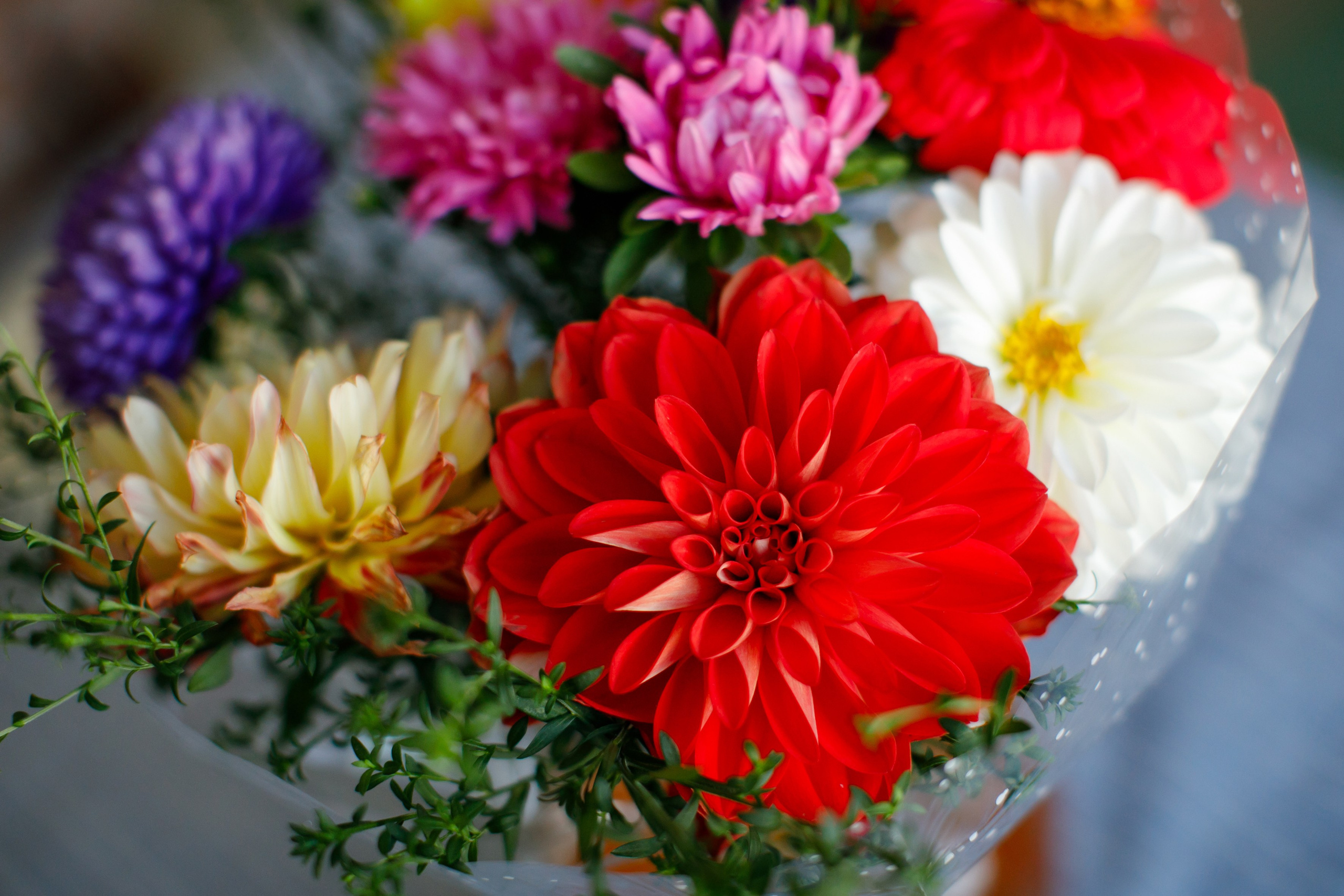 Первоклашка. Как Нюсю в школу провожали. Школьные альбомы, Семейные съемки, Портреты, Фотограф Елена Кузнецова