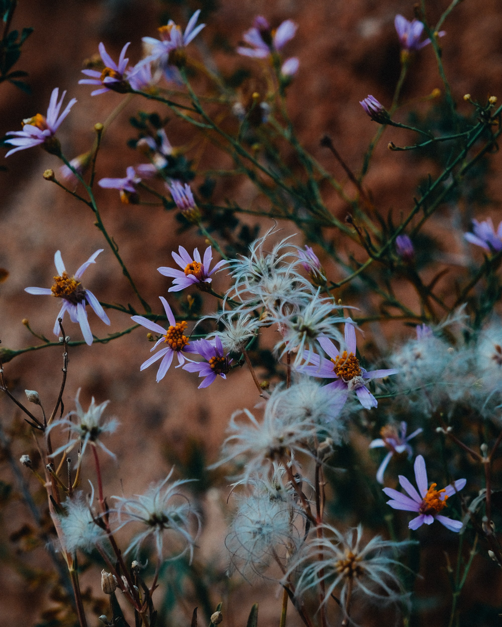 Кыргызстан. Фотограф Дмитрий Олрайт | Калуга, Россия