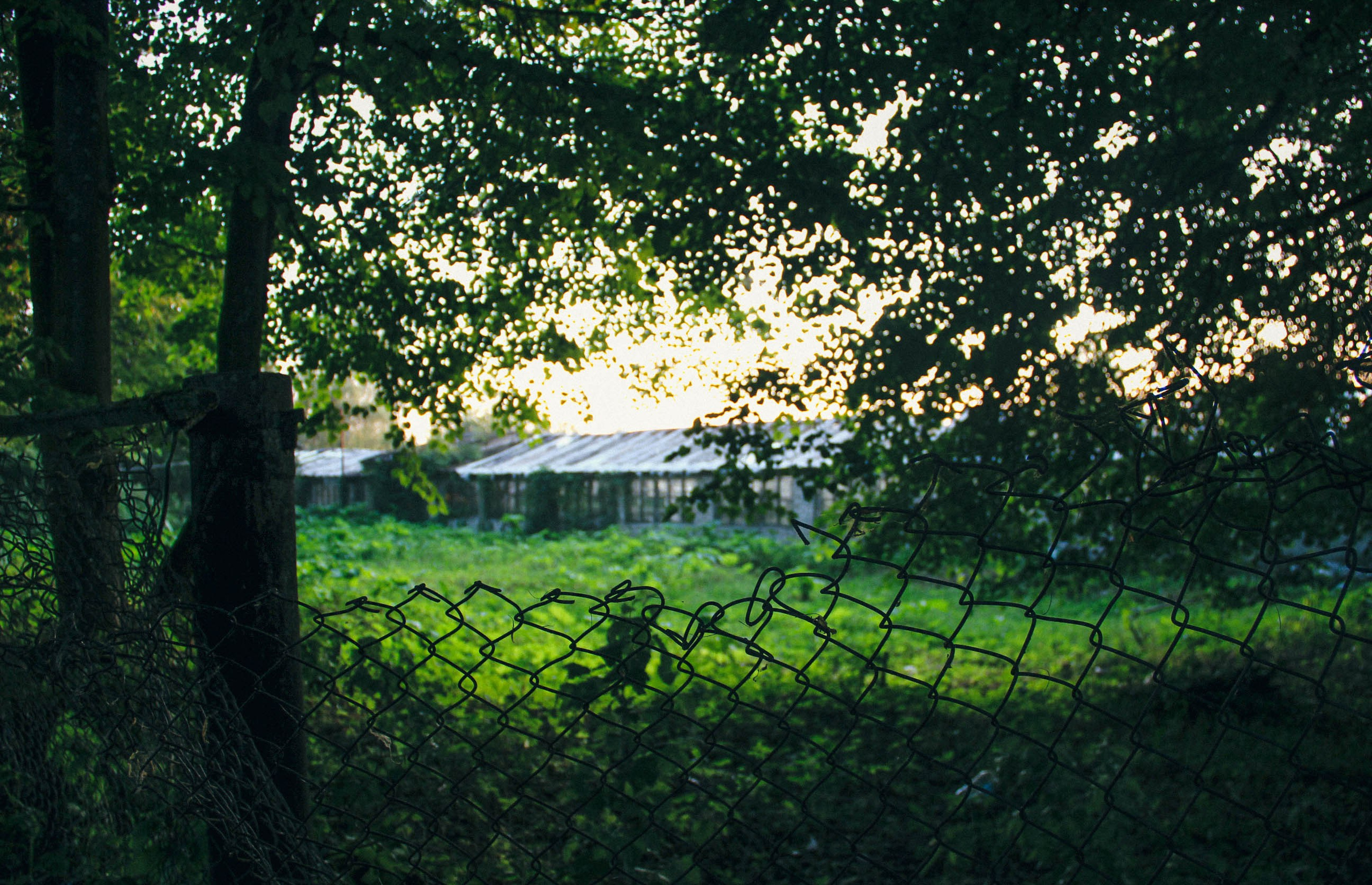 Пос. Сахарово. Фотограф Ксения Монахова