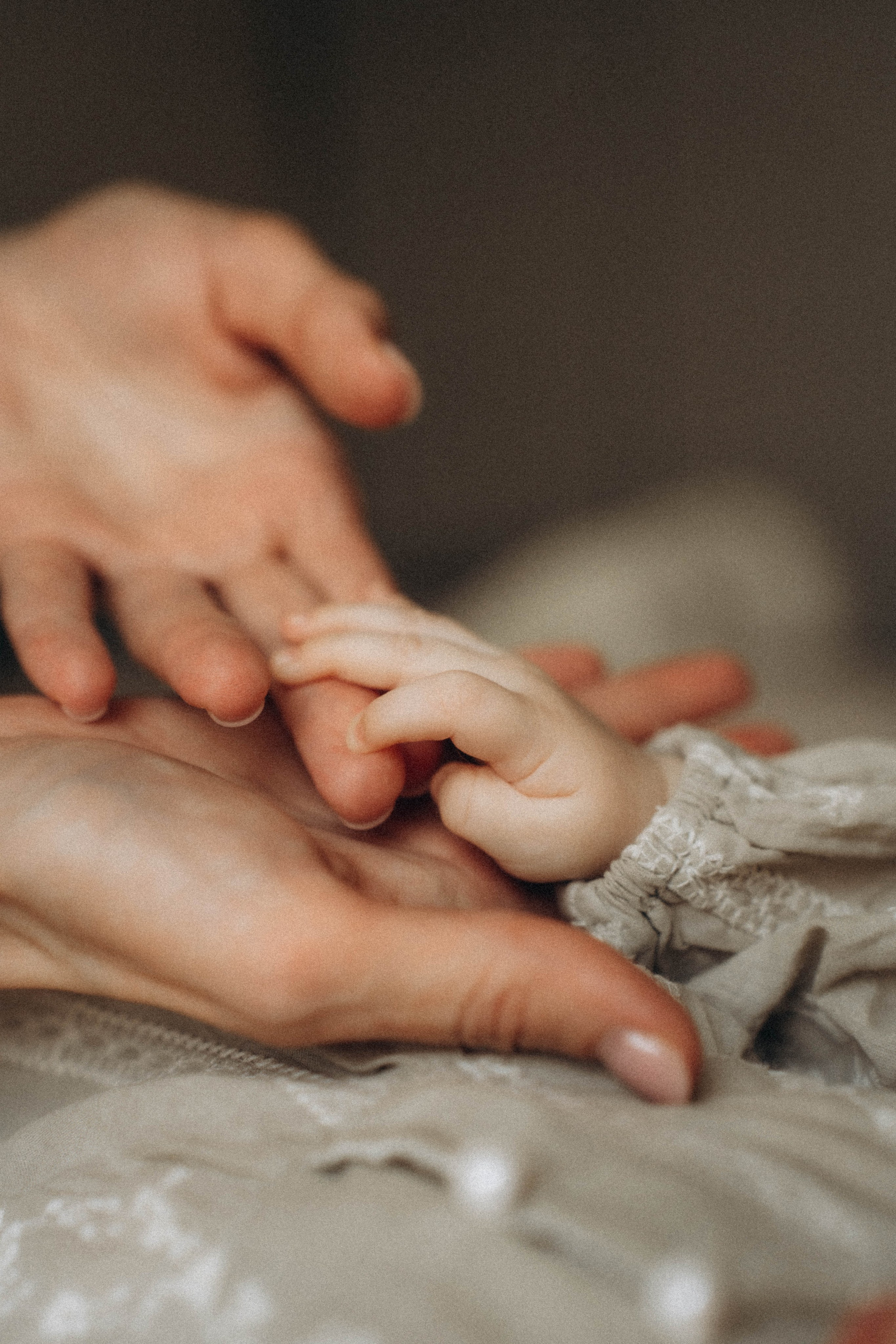 Аврора. Фотограф Москва Селюкова Юлия