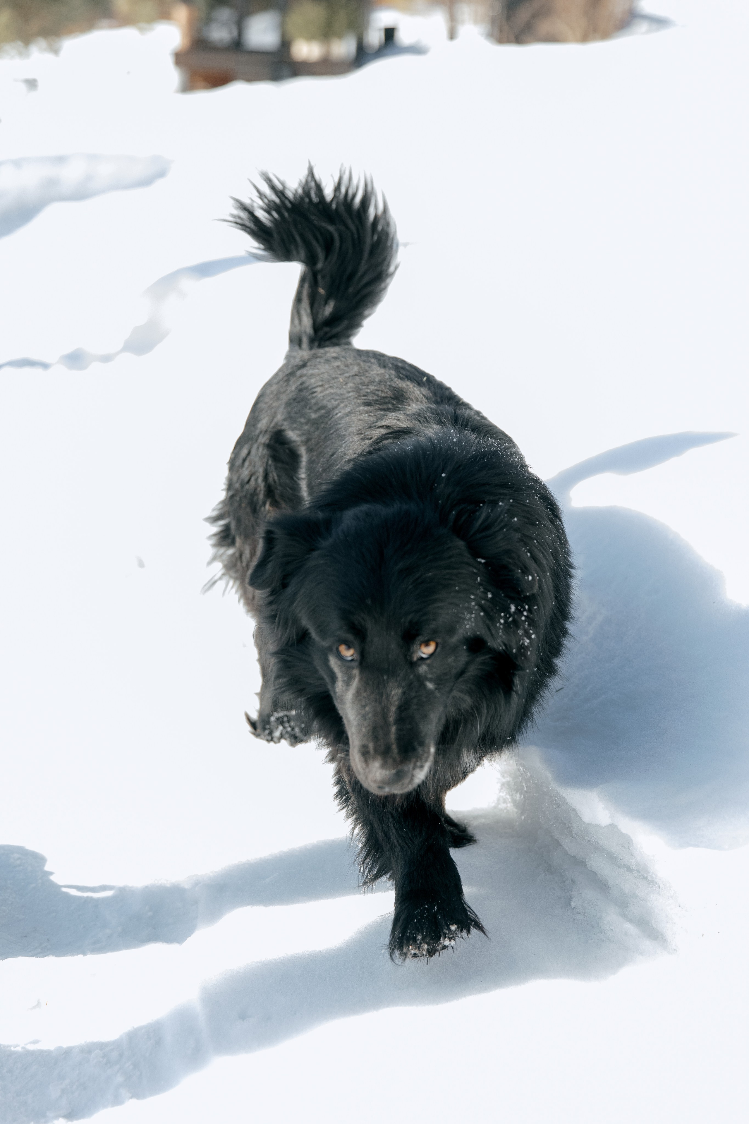 ДЕНЬ ДОЖДЕНИЯ ЕКАТЕРИНЫ. Фотограф в Красноярске