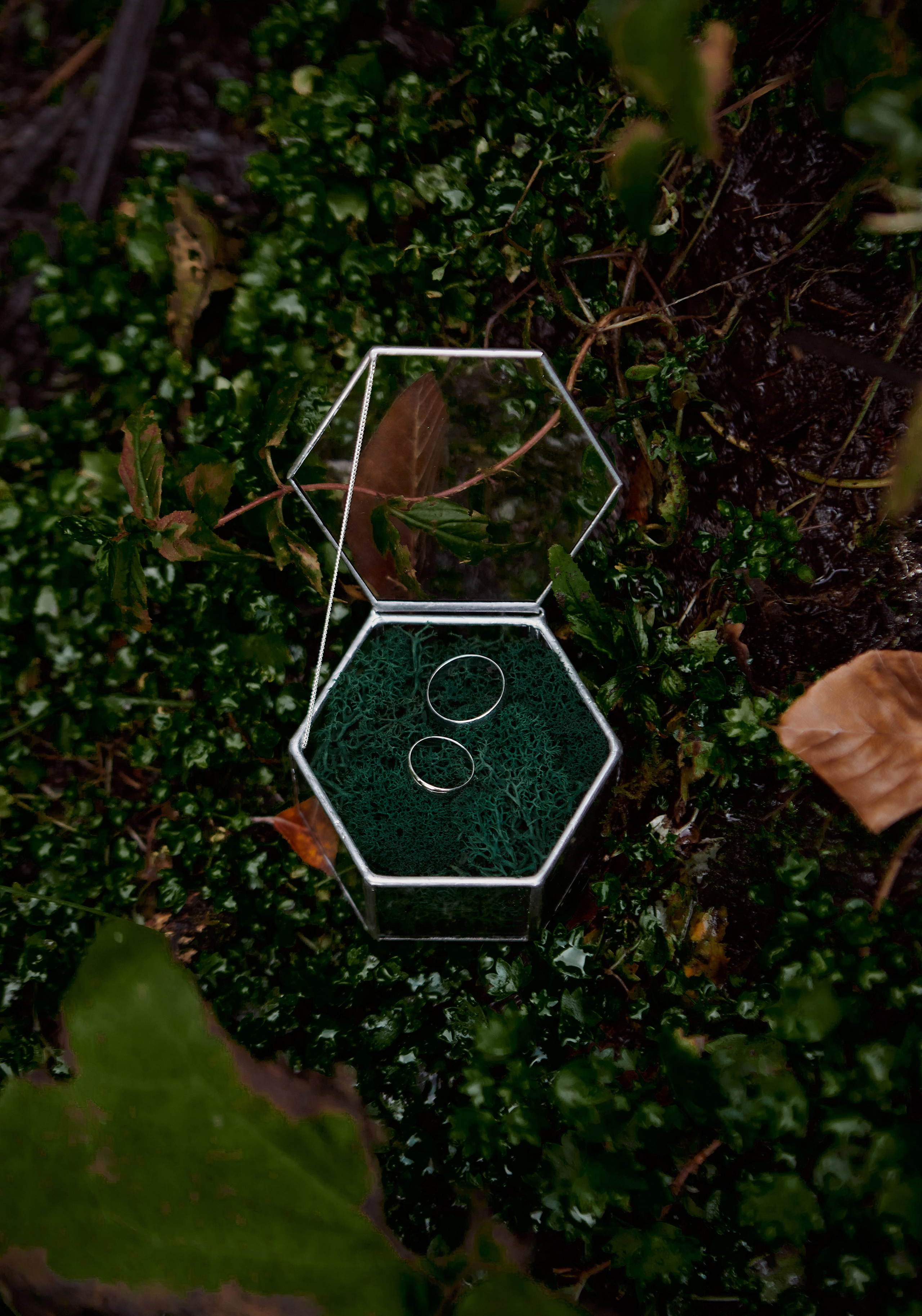 Свадебная фотосессия в горах. Свадебный и семейный фотограф в Сочи-Красной поляне Ларионова Анна