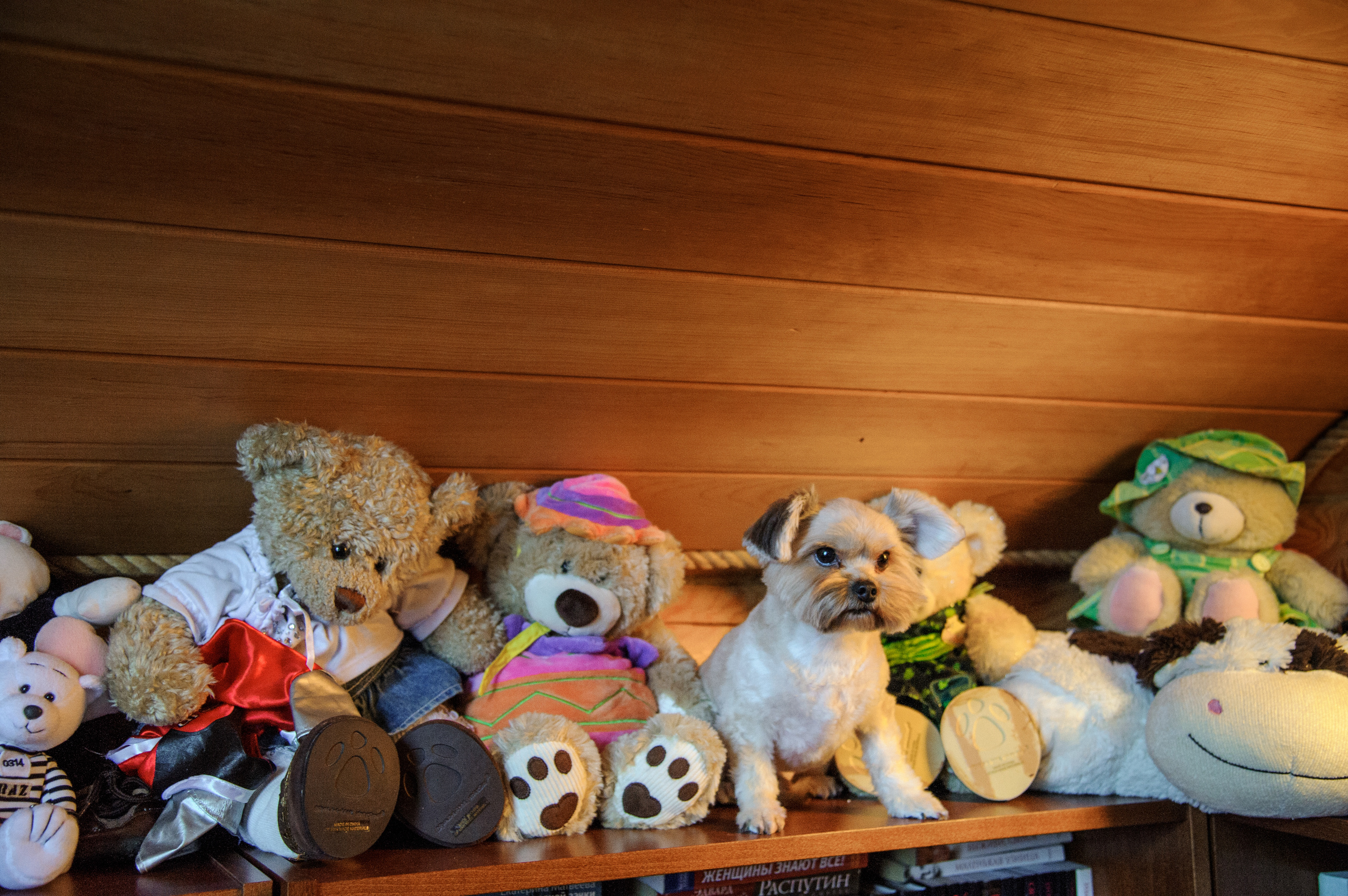 Семейная фотосессия в Подмосковье в загородном доме. Семейный фотограф в Москве Елена Снегирева