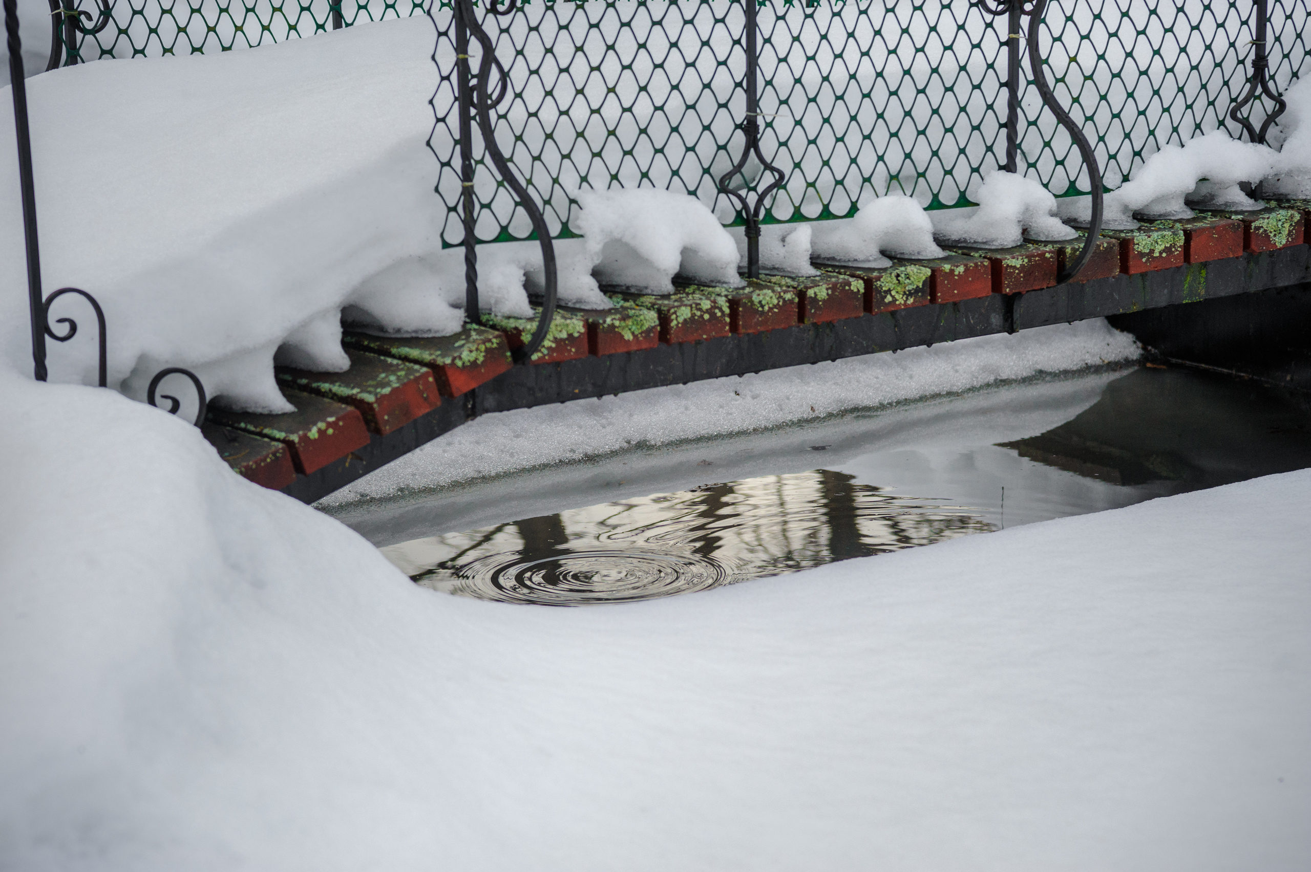 Семейная фотосессия в Подмосковье в загородном доме. Семейный фотограф в Москве Елена Снегирева