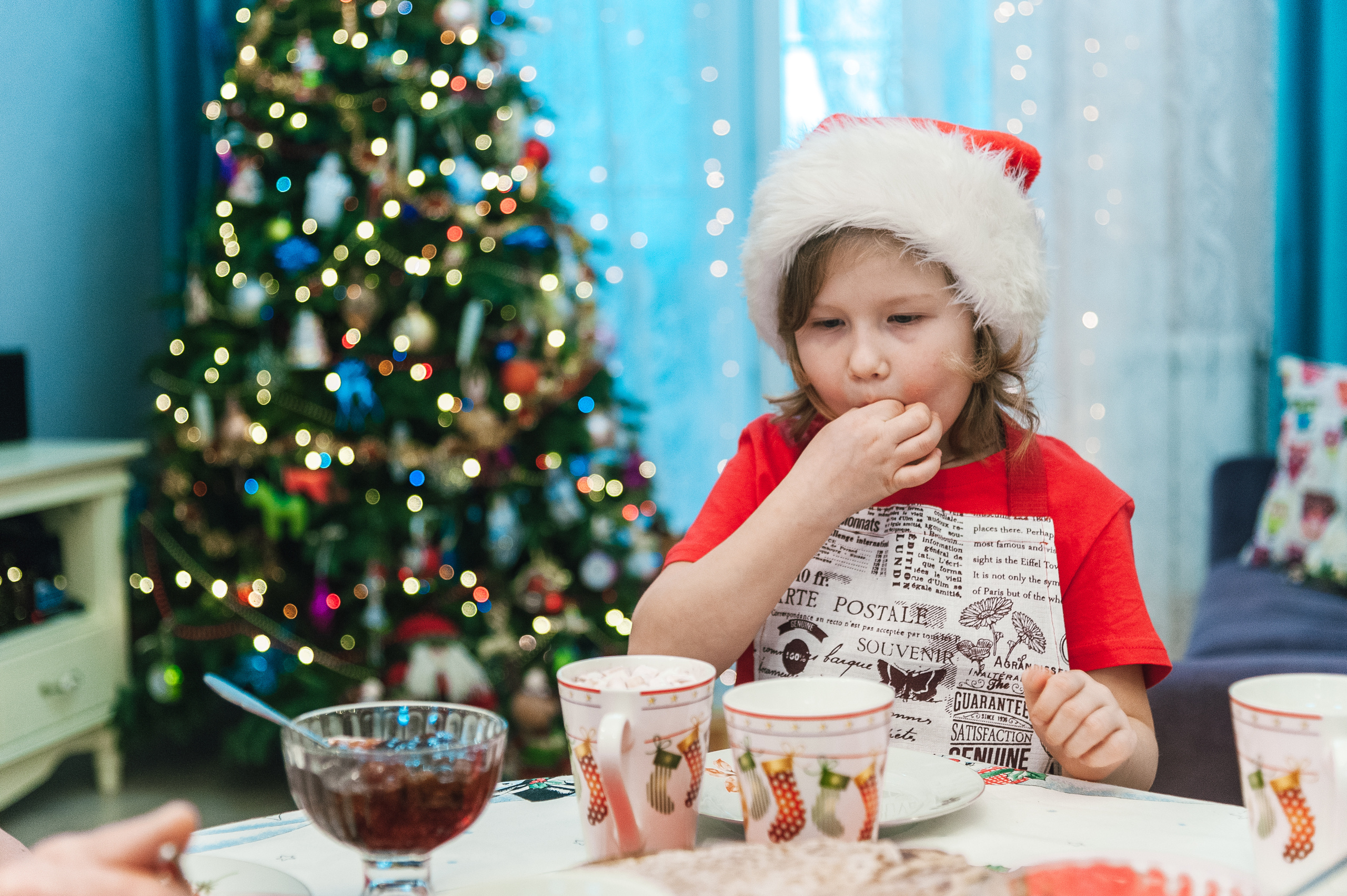 Новогодняя фотосессия дома. Семейный фотограф в Москве Елена Снегирева