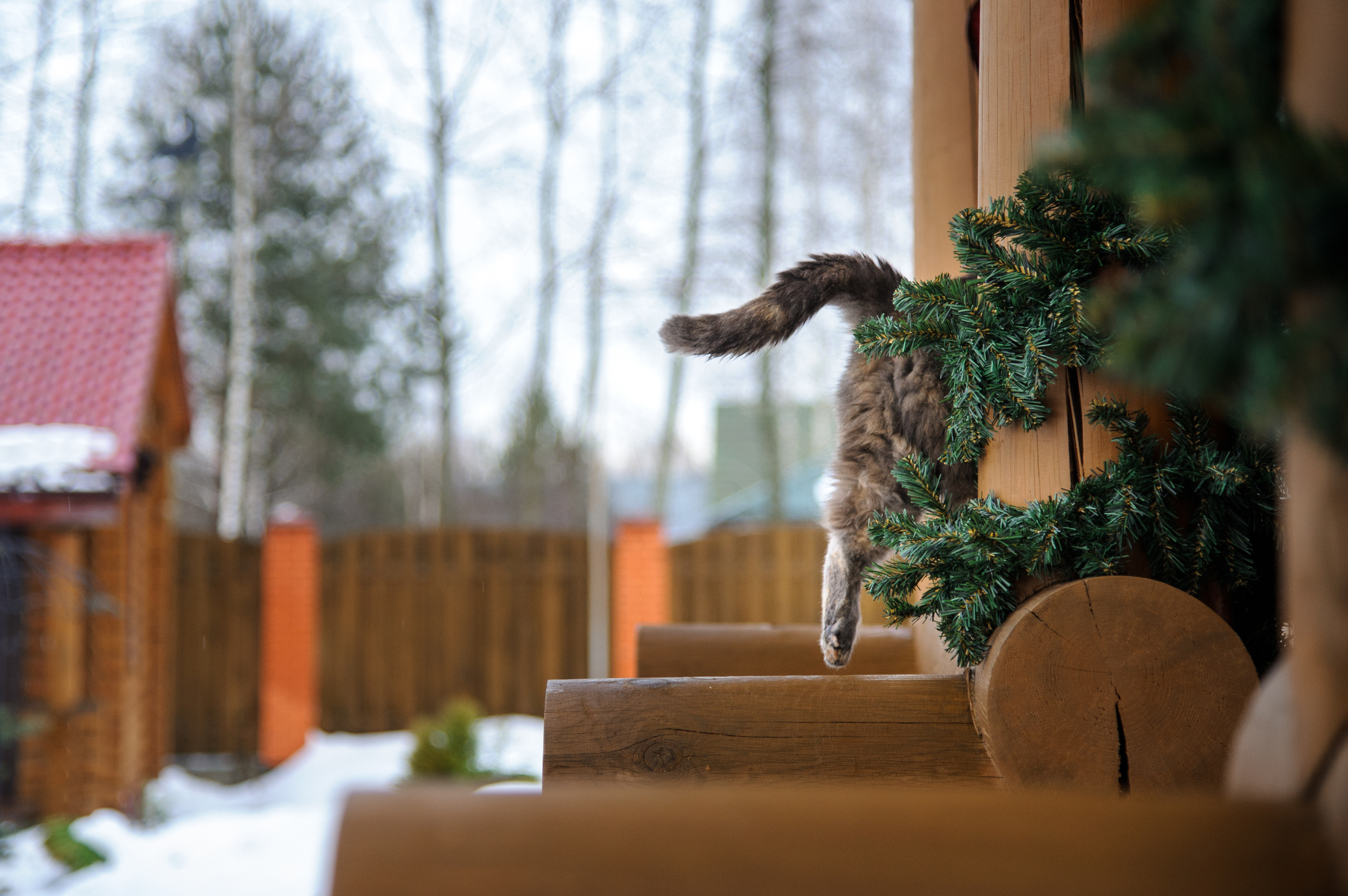 Семейная фотосессия в Подмосковье в загородном доме. Семейный фотограф в Москве Елена Снегирева