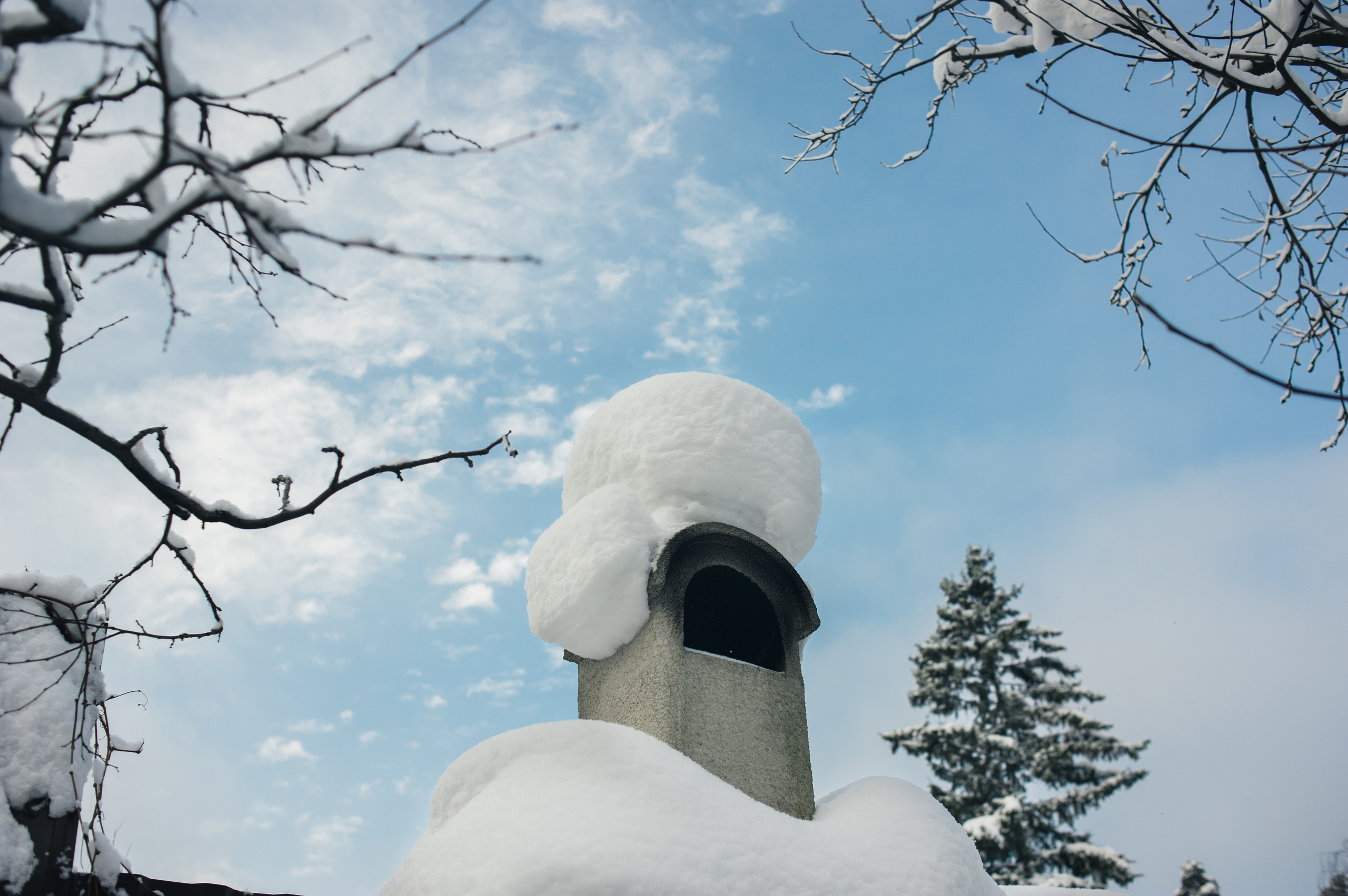 Рождественская семейная фотосессия в Подмосковье. Семейный фотограф в Москве Елена Снегирева