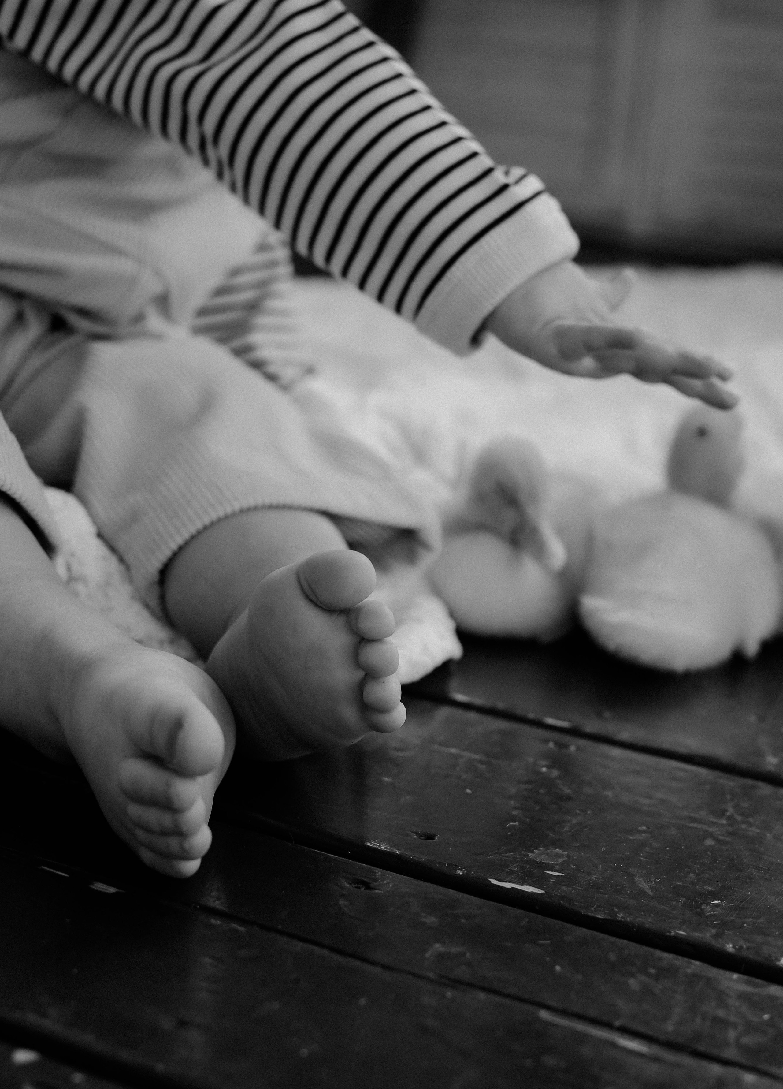 Миша и утята. Фотограф Анна Бурлакова