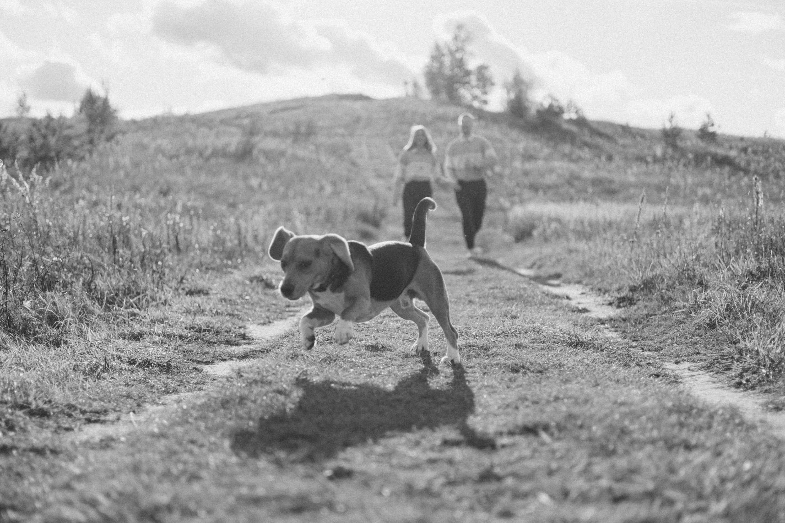 Оуджи и его семья. Фотограф — Анималист | Санкт-Петербург