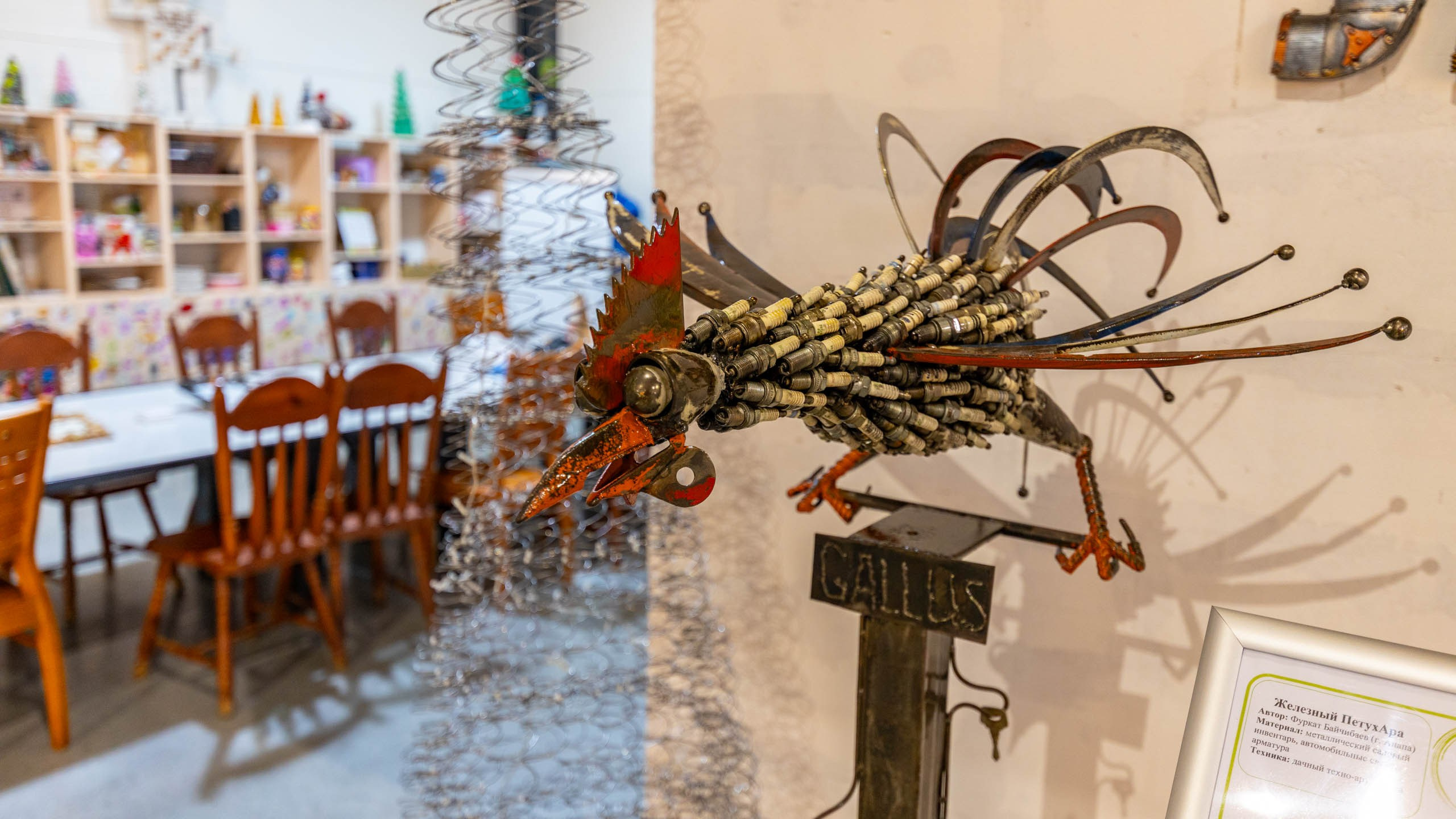 2024 01 Калининград (Светлогорск, Зеленоградск). Фотографии