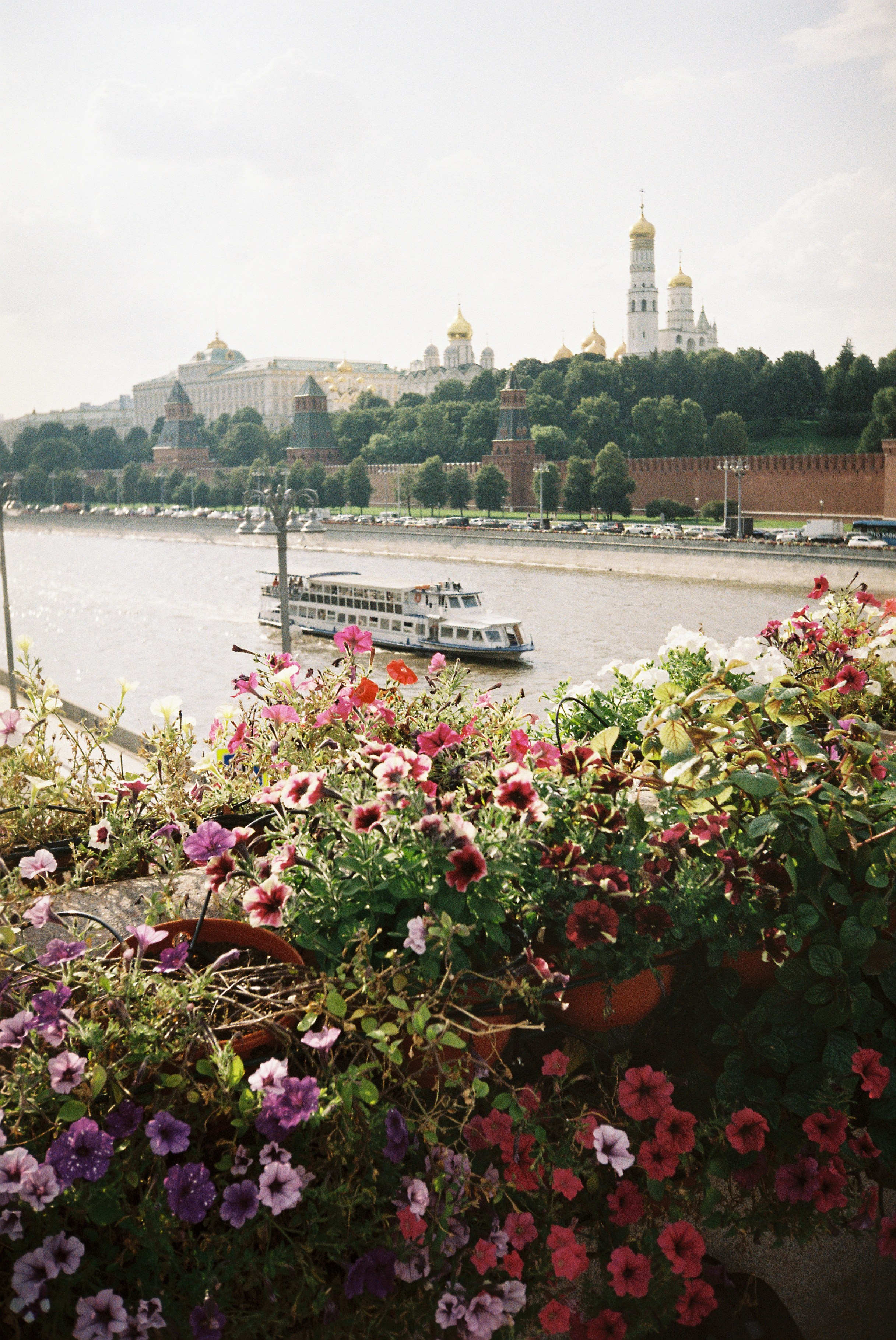 Easy. Главная