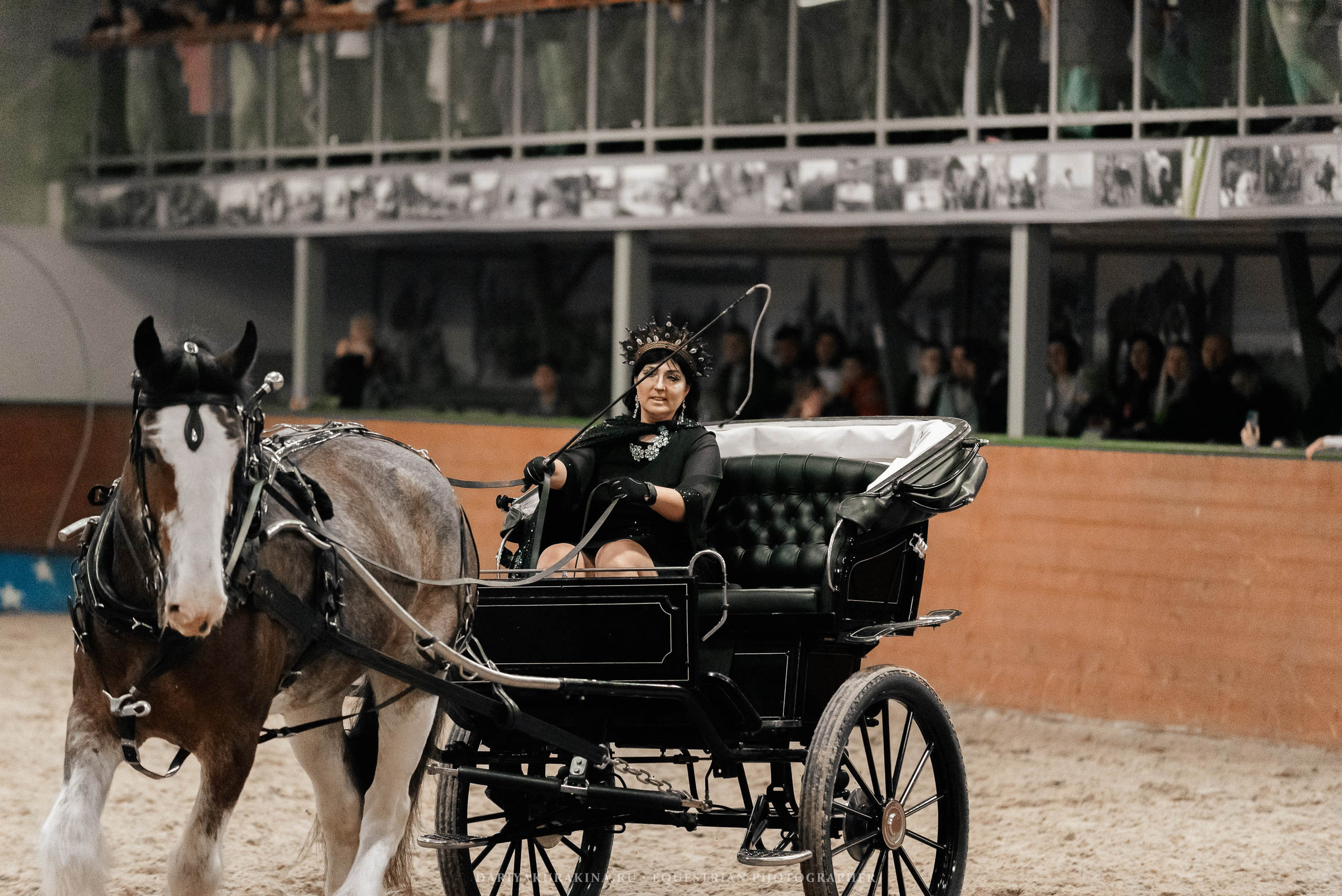 Конное представление «Дыхание Звёзд». Конный фотограф Куракина Дарья • Фотосессии с лошадьми