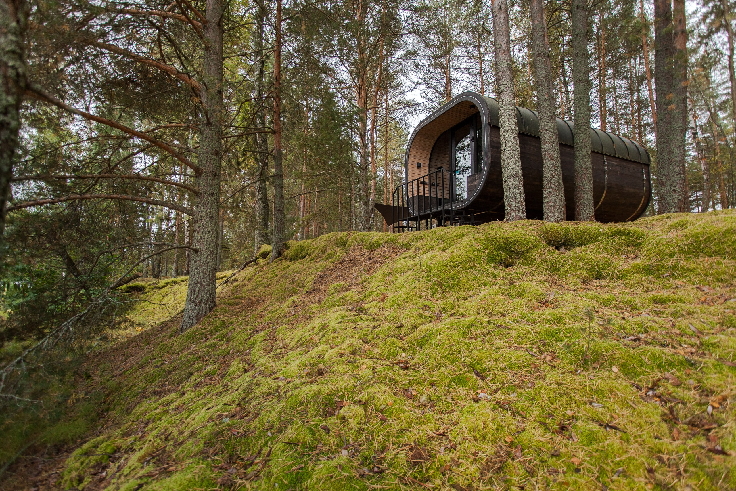Остров «Свободы». Туманов Виталий — фотограф Москва