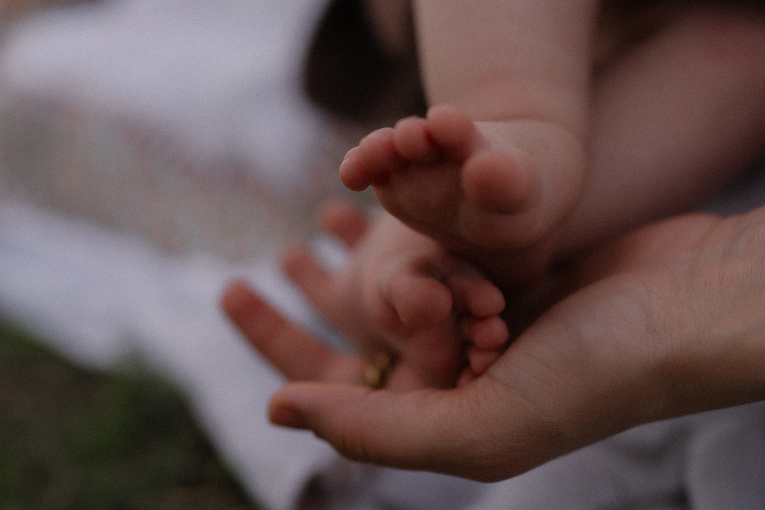 Магомед, Сагью, Фатимок, Бончик ♡. Семейный и детский фотограф в Махачкале ♡