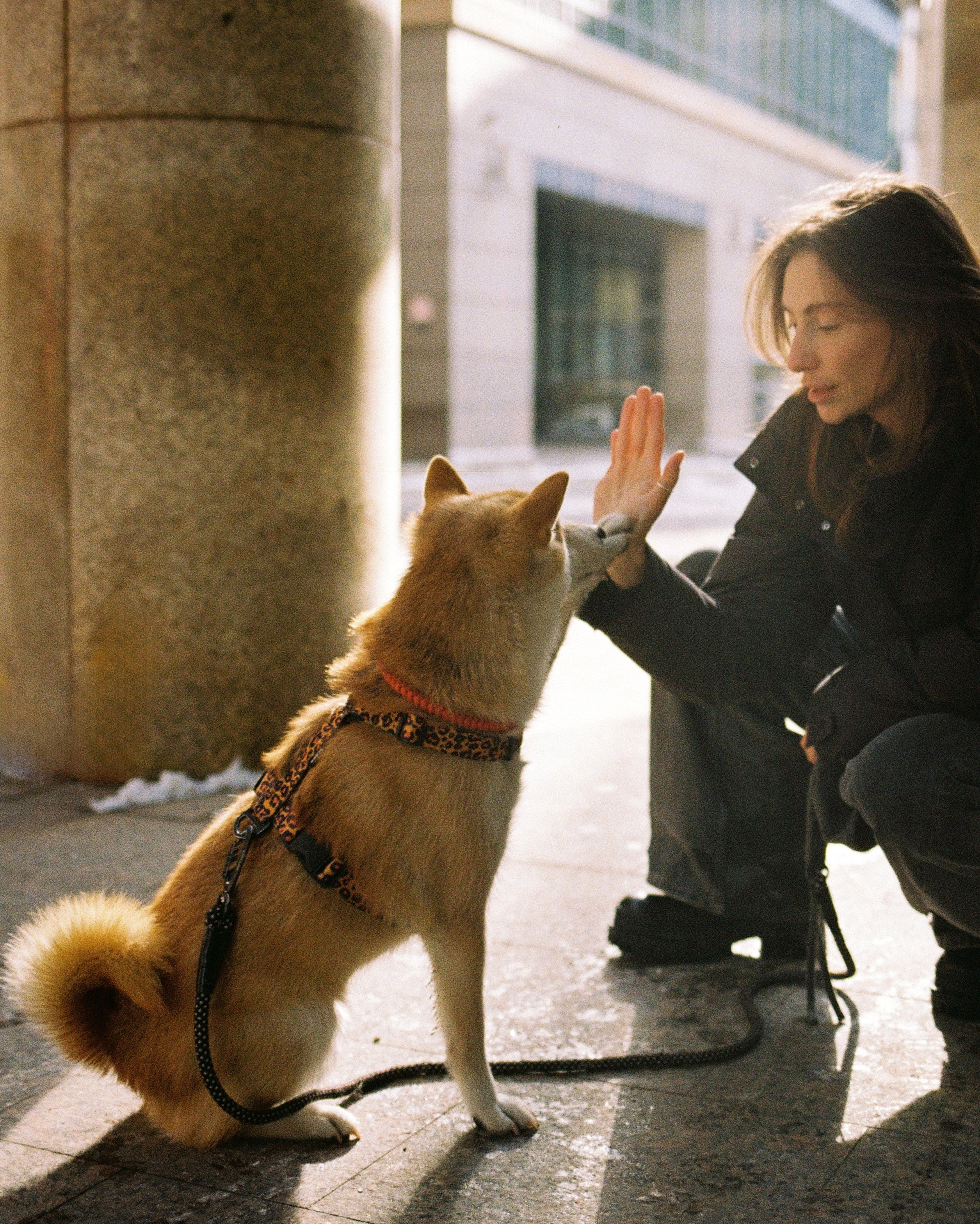 Пленка. Фотограф Андрей Куськало