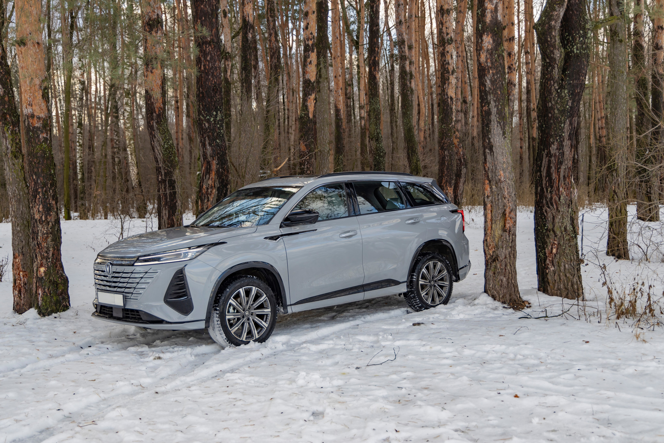 Changan cs75 plus. Репортажный, семейный и студийный фотограф в Москве Демин Алексей