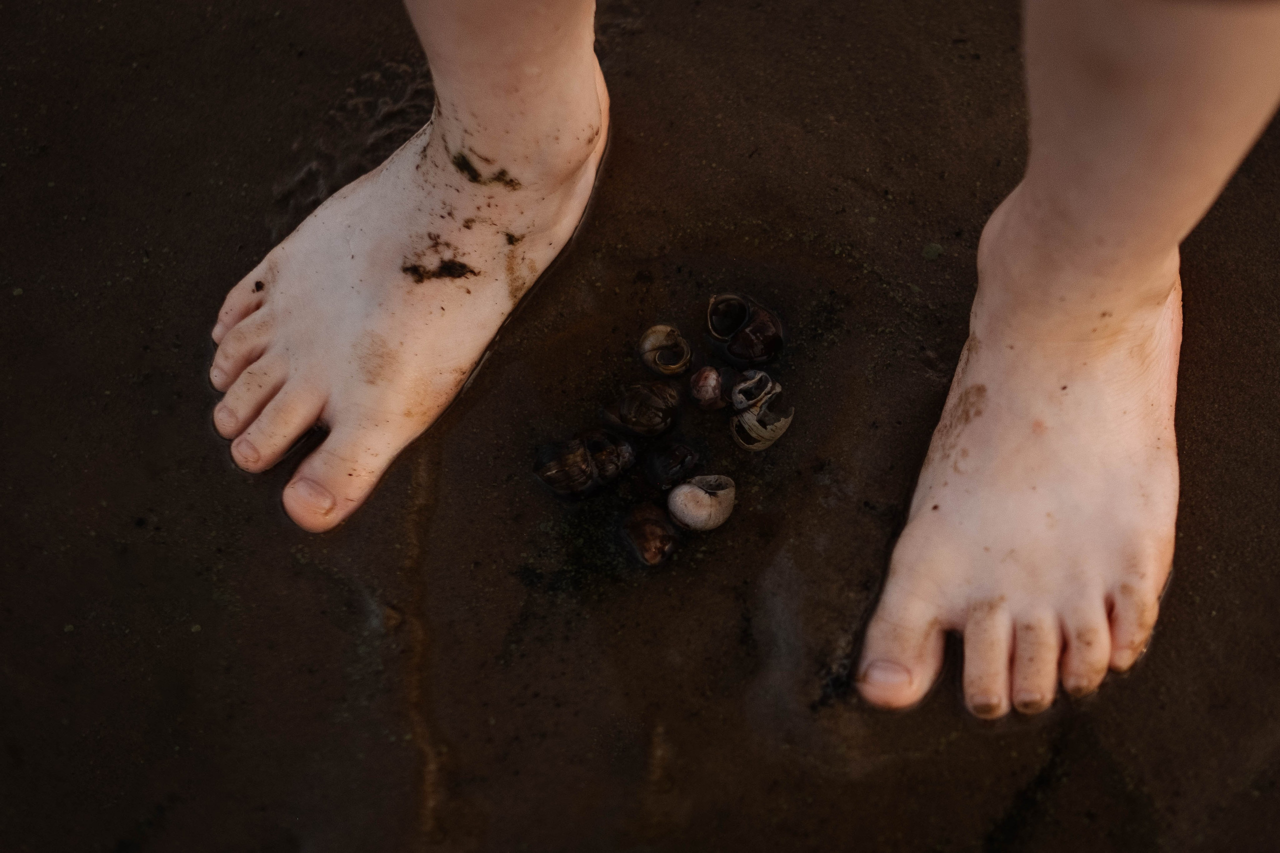 Закат на Заливе. Семейный фотограф в Санкт-Петербурге Дарья Косянчук