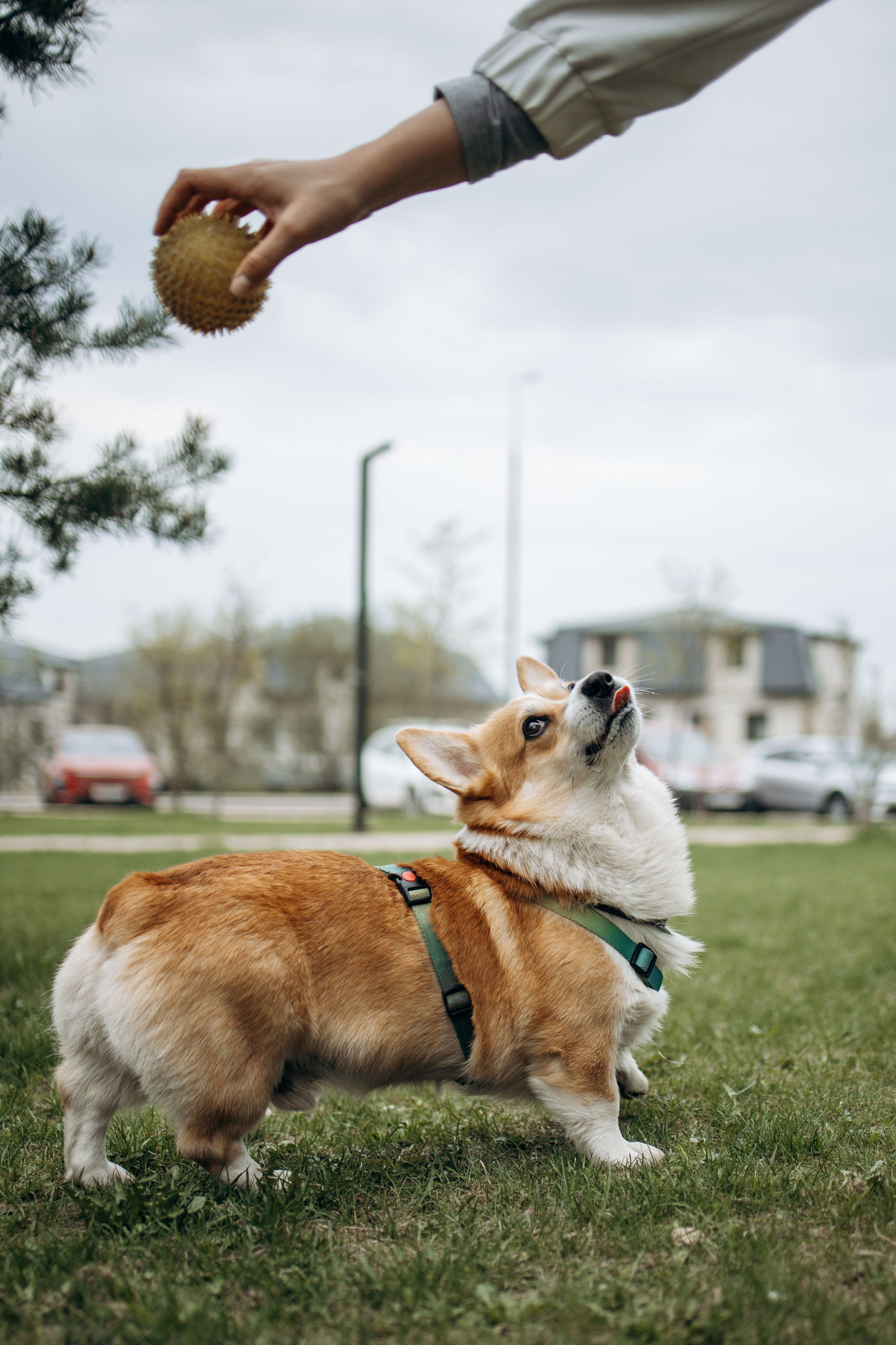 Екатерина и Альфи