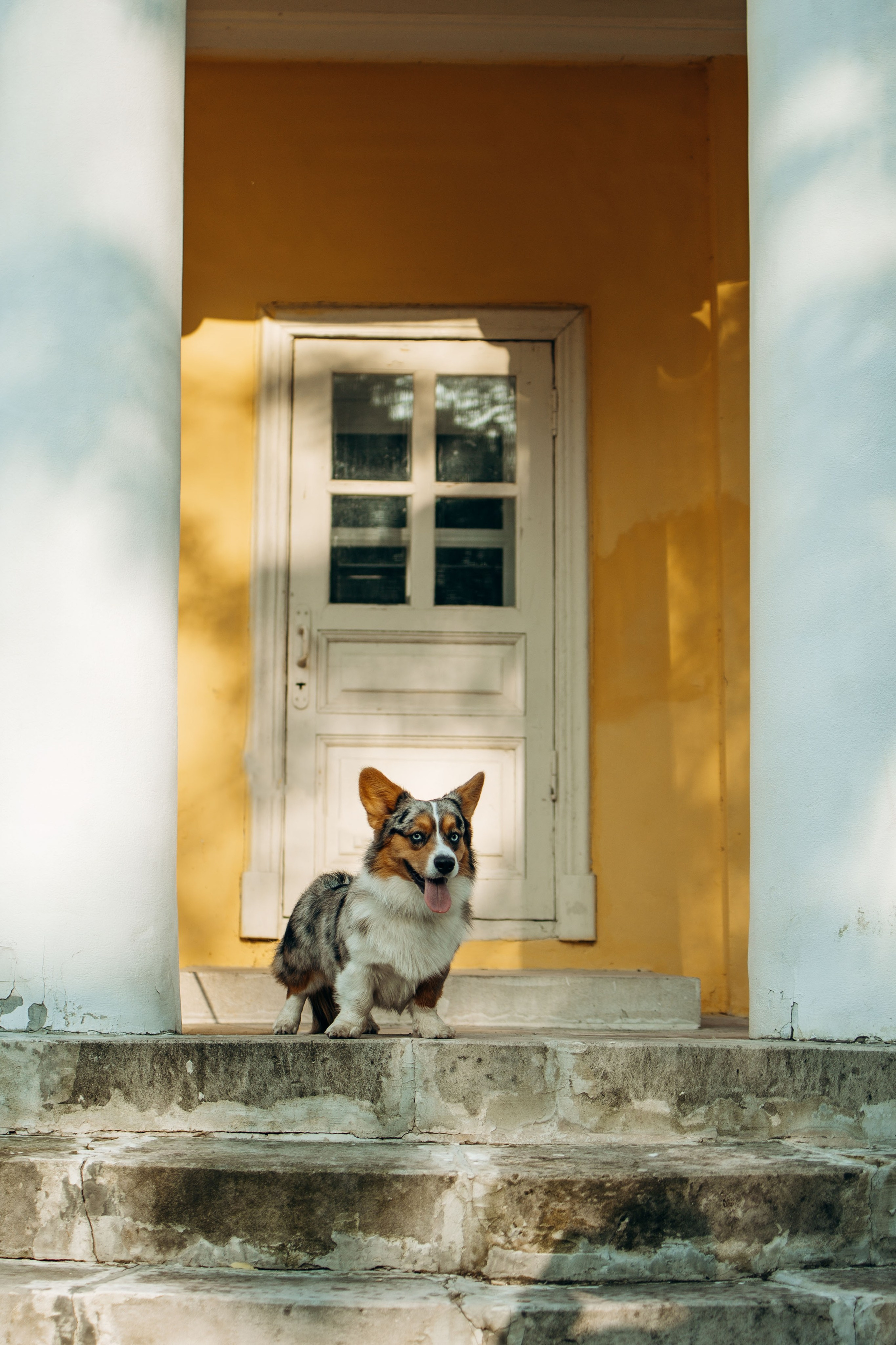 Евгения и Грей