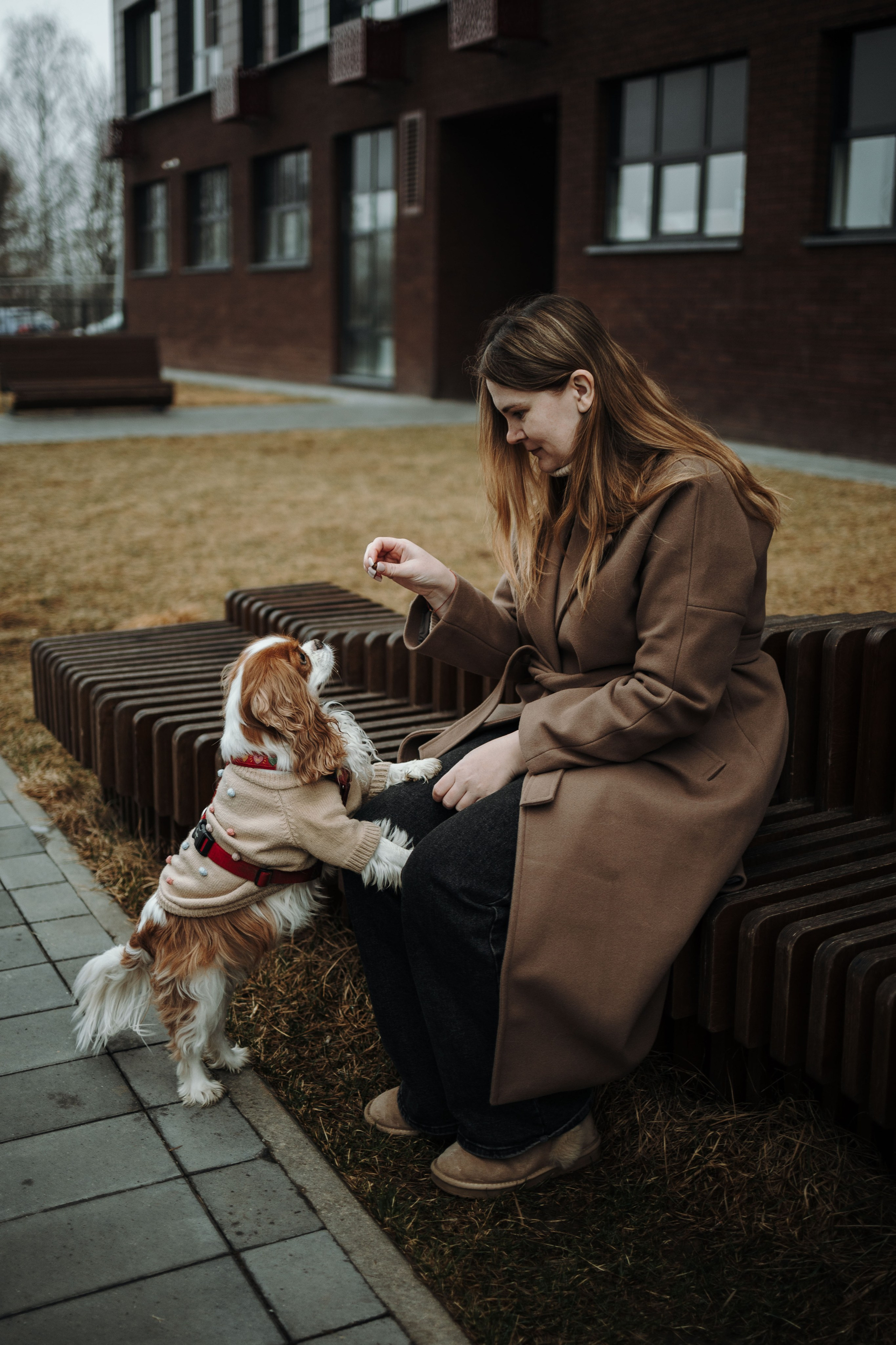 Любовь и Альтаир