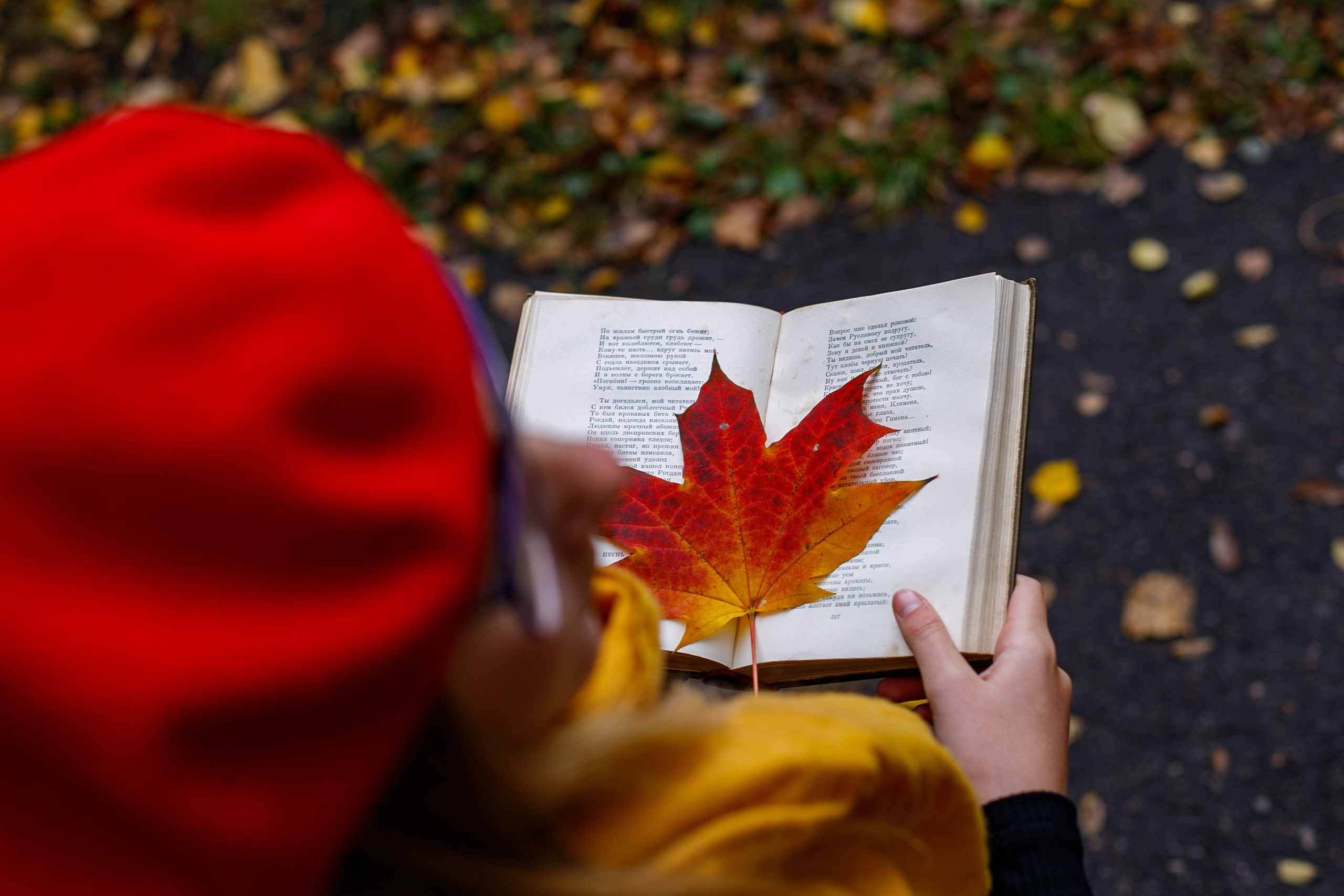 Маша. Семейный фотограф Насонова Татьяна