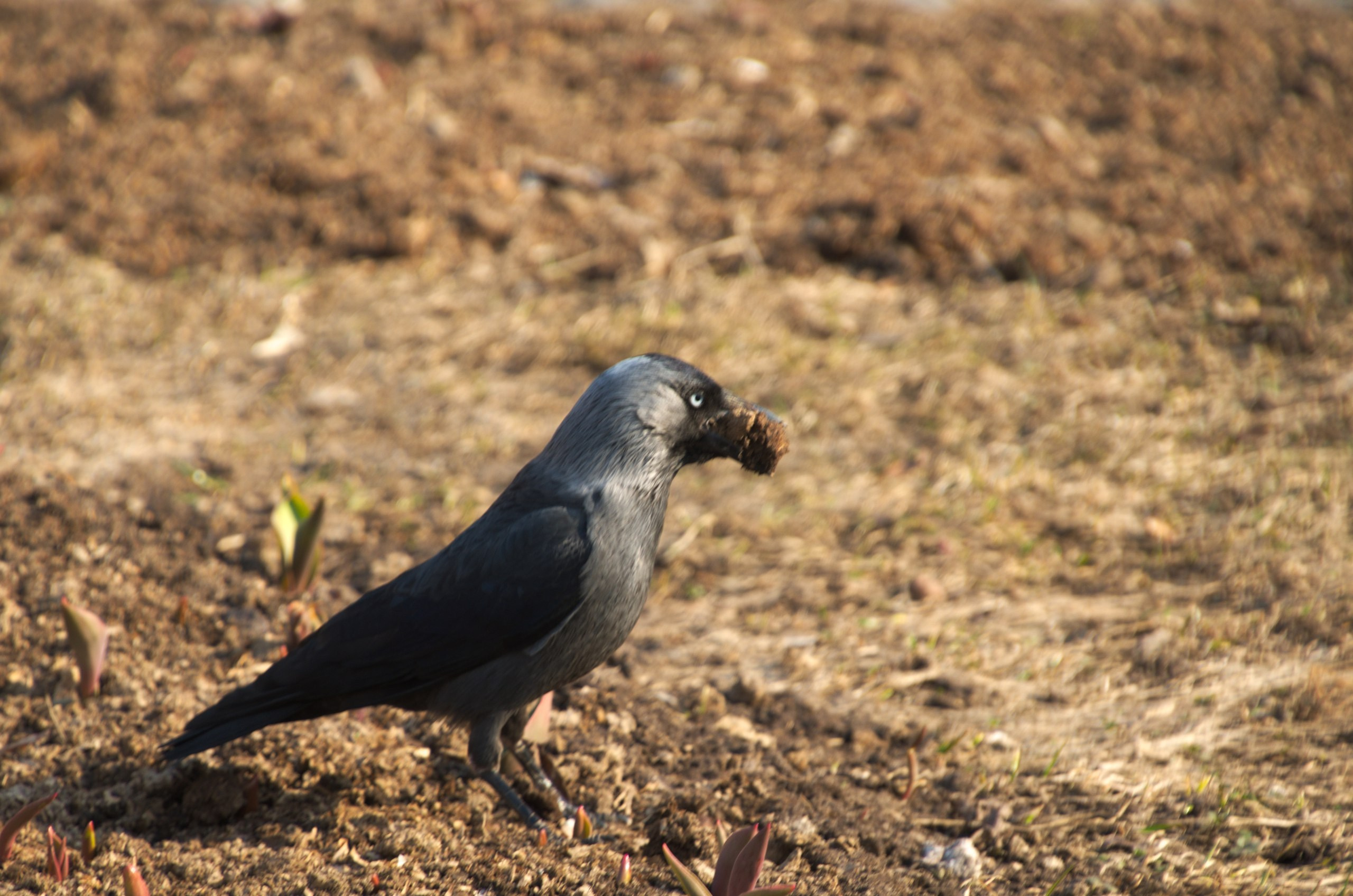 Поездка в Александров | 15.04.2018. Галерея Фантим