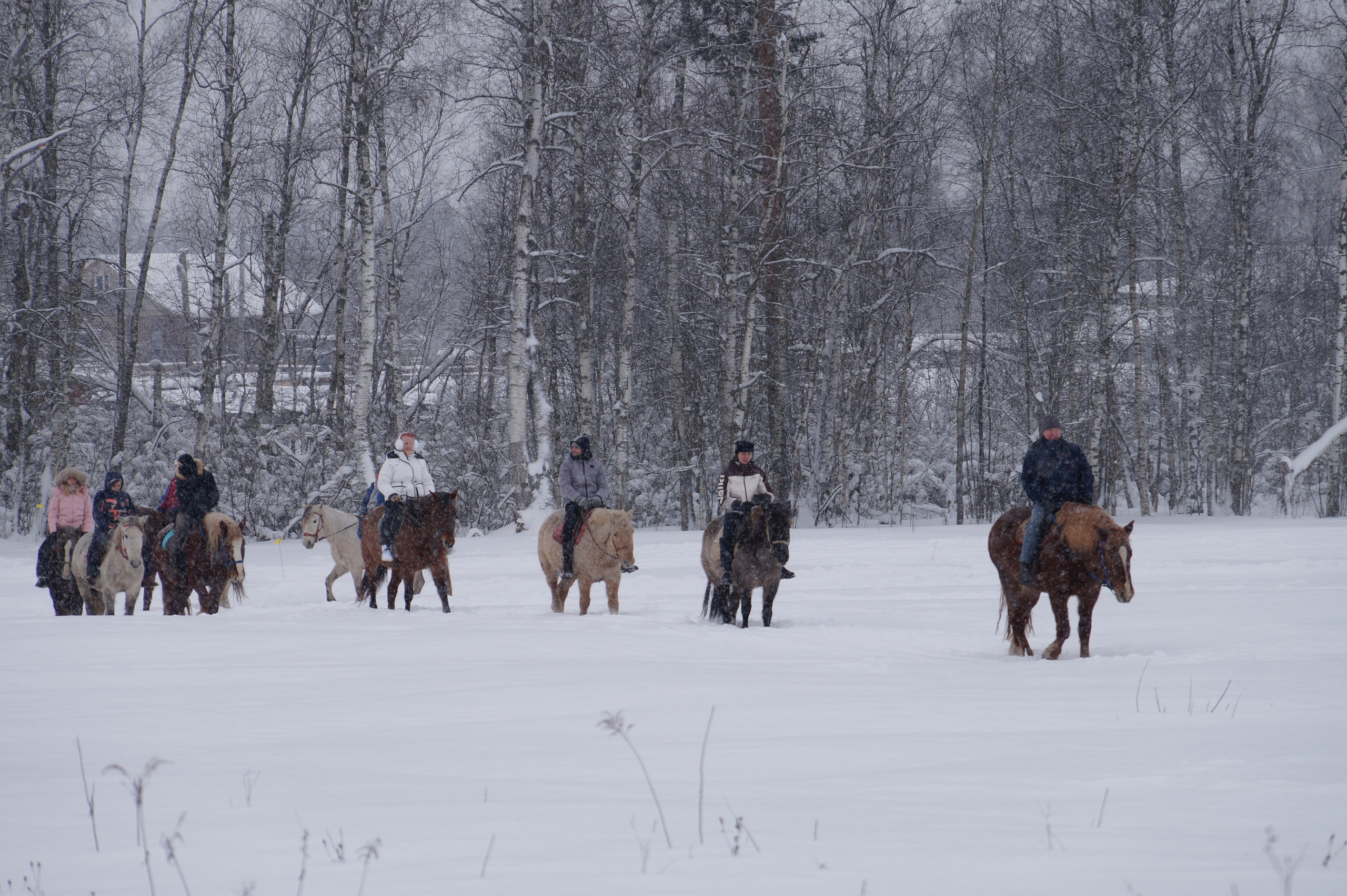 Лошадинг | 11.01.2026. Галерея Фантим