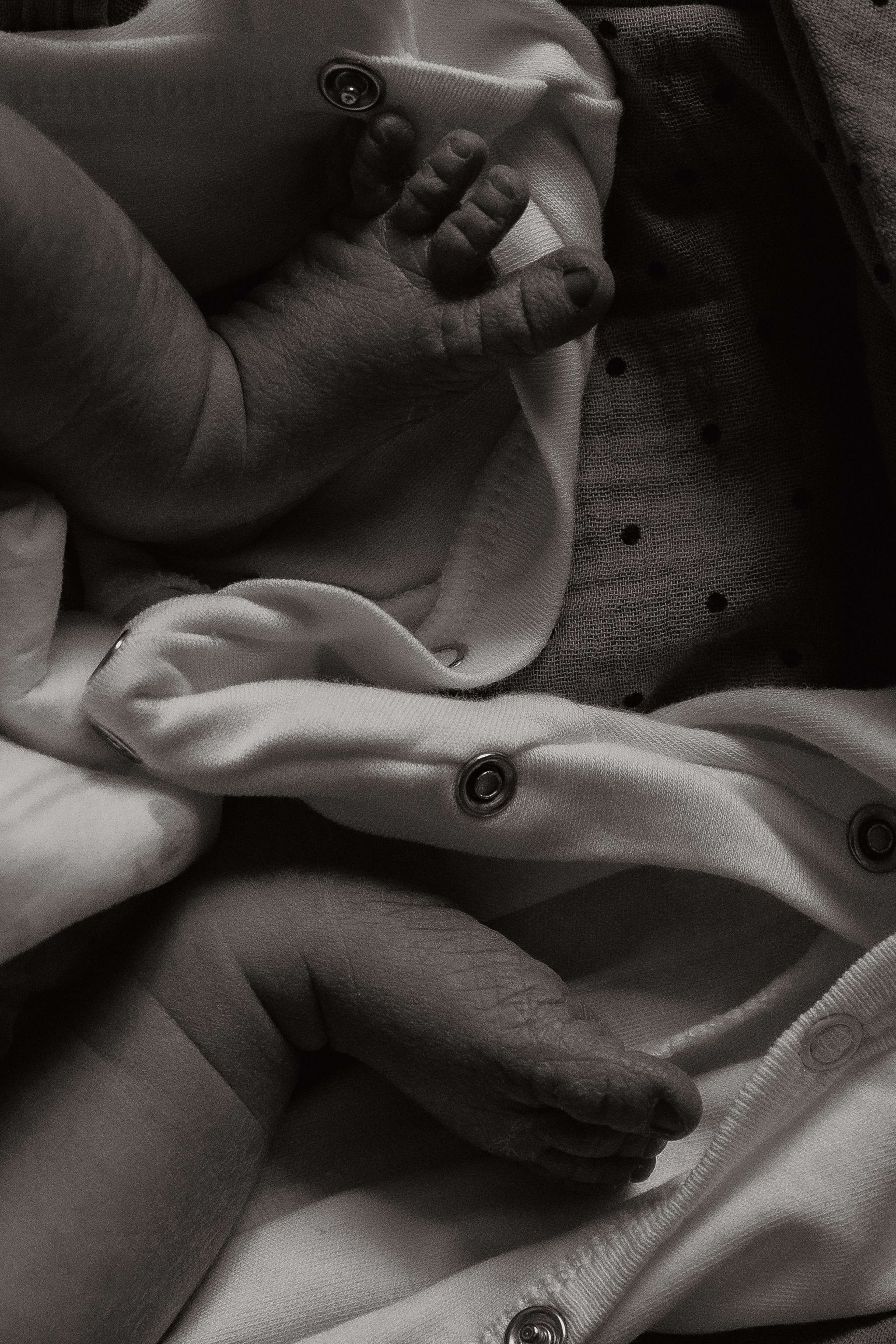 Новый человек в доме. Фотограф  Челябинск Варвара Шарапова