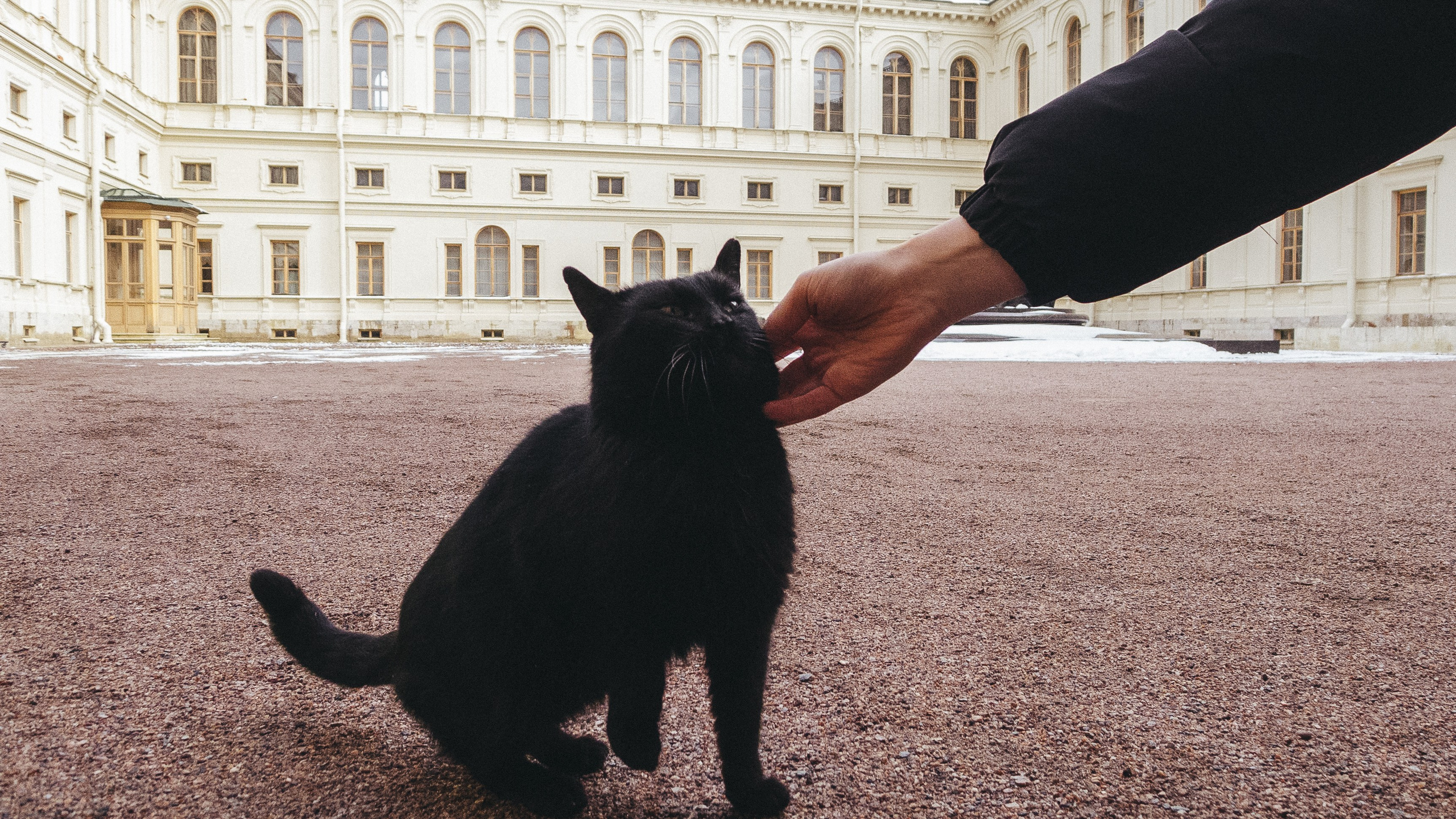Grand Gatchina Palace. <3