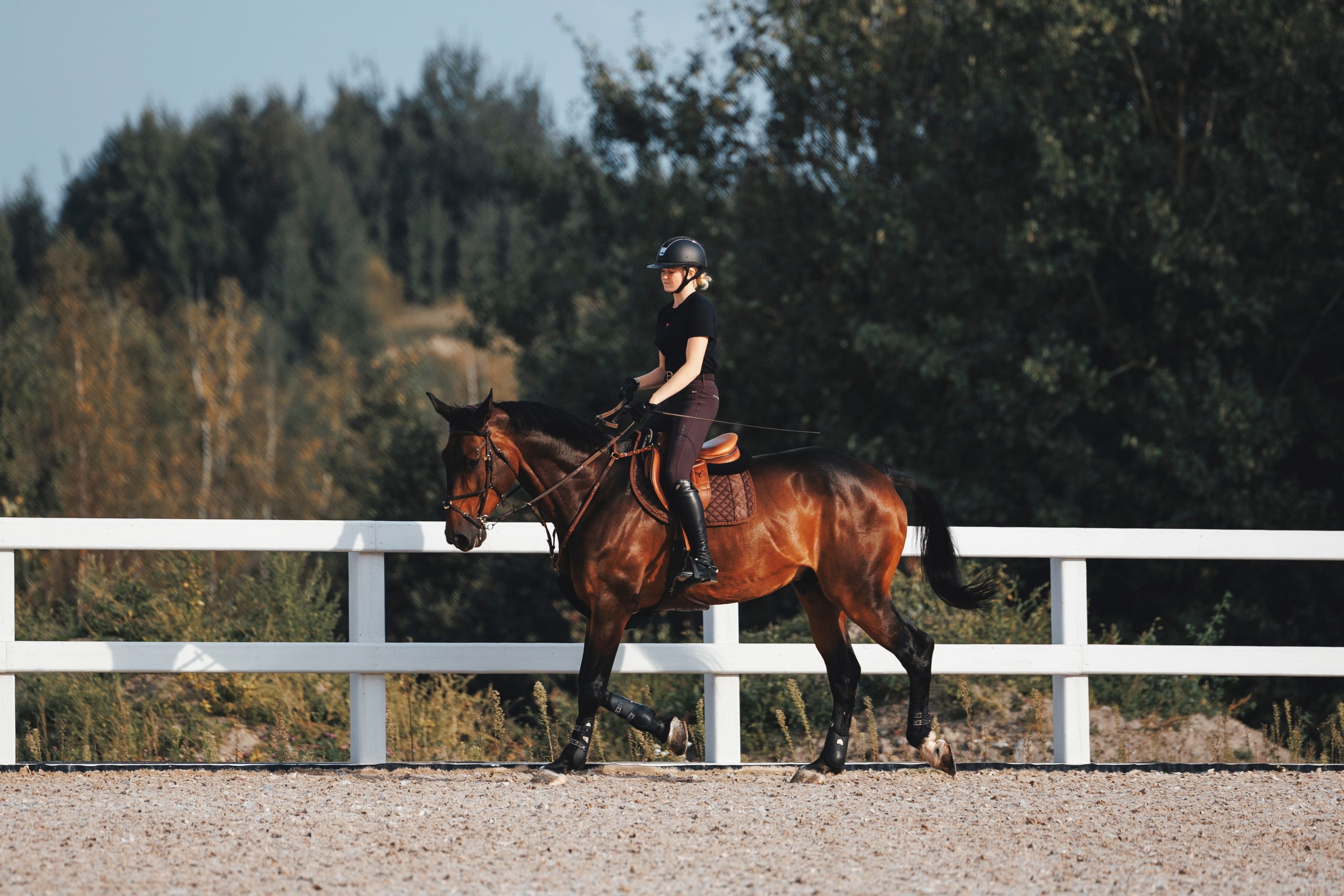 Конкур. Фотограф-анималист Анна Маринич