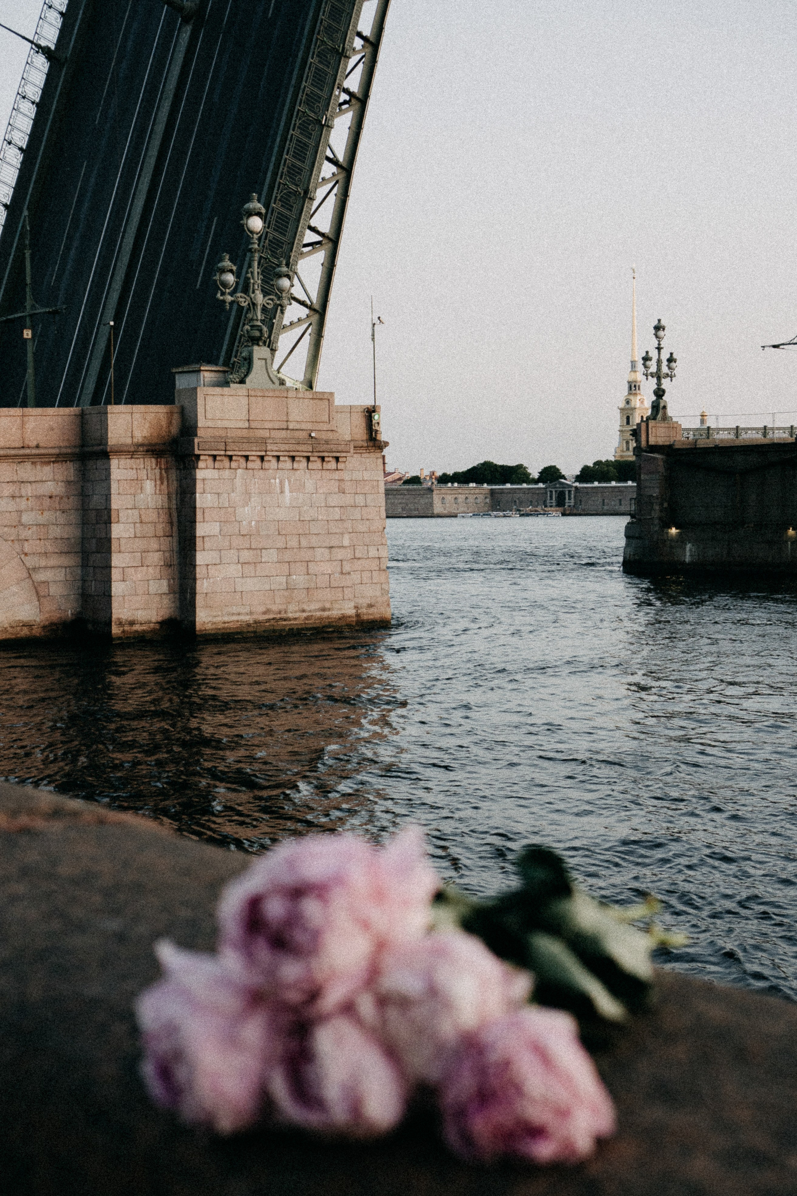 Сьемка мечты. Профессиональный фотограф, Санкт-Петербург — Виктория Богомолова