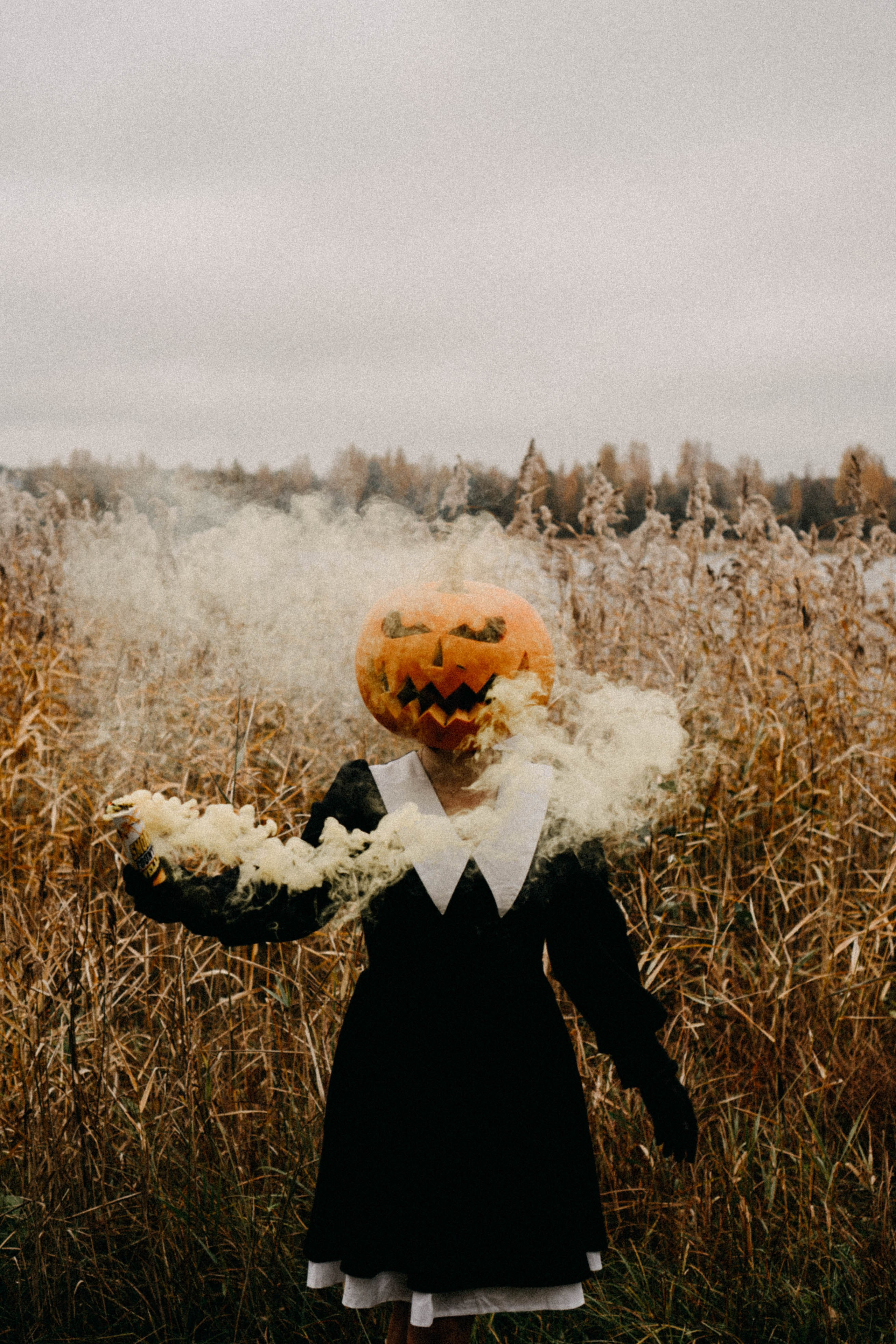 Осеняя. Профессиональный фотограф, Санкт-Петербург — Виктория Богомолова